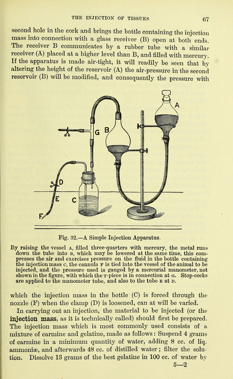 THE INJECTION OF TISSUES second hole in the cork and brings the bottle containing the injection mass into connection with a glass receiver (B) open at both ends. The receiver B communicates by a rubber tube with a similar receiver (A) placed at a higher level than B, and filled with mercury. If the apparatus is made air-tight, it will readily be seen that by altering the height of the reservoir (A) the air-pressure in the second reservoir (B) will be modified, and consequently the pressure with Fig. 32.—A Simple Injection Apparatus. By raising the vessel a, filled three-quarters with mercury, the metal runs down the tube into b, which may be lowered at the same time, this com- presses the air and exercises pressure on the fluid in the bottle containing the injection mass c, the cannula p is tied into the vessel of the animal to be injected, and the pressure used is gauged by a mercurial manometer, not shown in the figure, with which the T-piece is in connection at g. Stop-cocks are applied to the manometer tube, and also to the tube e at d. which the injection mass in the bottle (C) is forced through the nozzle (F) when the clamp (D) is loosened, can at will be varied. In carrying out an injection, the material to be injected (or the injection mass, as it is technically called) should first be prepared. The injection mass which is most commonly used consists of a mixture of carmine and gelatine, made as foUows : Suspend 4 grams of carmine in a minimum quantity of water, adding 8 cc. of liq. ammonise, and afterwards 48 cc. of distilled water; filter the solu- tion. Dissolve 13 grams of the best gelatine in 100 cc. of water by 5—2