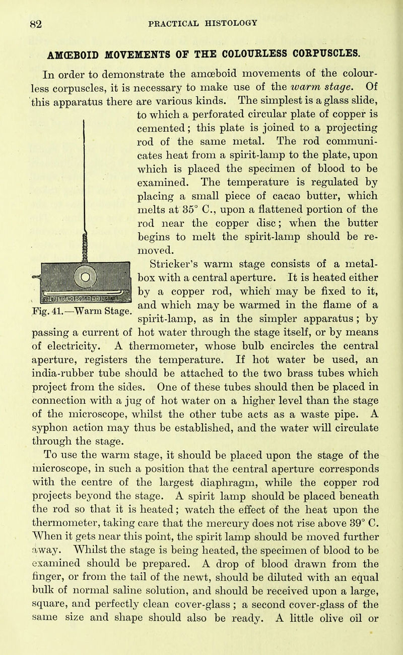 Fig. 41.—Warm Stage. AM(EBOID MOVEMENTS OF THE COLOURLESS CORPUSCLES. In order to demonstrate the amoeboid movements of the colour- less corpuscles, it is necessary to make use of the warm stage. Of this apparatus there are various kinds. The simplest is a glass shde, to which a perforated circular plate of copper is cemented; this plate is joined to a projecting rod of the same metal. The rod communi- cates heat from a spirit-lamp to the plate, upon which is placed the specimen of blood to be examined. The temperature is regulated by placing a small piece of cacao butter, which melts at 35° C, upon a flattened portion of the rod near the copper disc; when the butter begins to melt the spirit-lamp should be re- moved. Strieker's warm stage consists of a metal- box with a central aperture. It is heated either by a copper rod, which may be fixed to it, and which may be warmed in the flame of a spirit-lamp, as in the simpler apparatus ; by passing a current of hot water through the stage itself, or by means of electricity. A thermometer, whose bulb encircles the central aperture, registers the temperature. If hot water be used, an india-rubber tube should be attached to the two brass tubes which project from the sides. One of these tubes should then be placed in connection with a jug of hot water on a higher level than the stage of the microscope, whilst the other tube acts as a waste pipe. A syphon action may thus be established, and the water will circulate through the stage. To use the warm stage, it should be placed upon the stage of the microscope, in such a position that the central aperture corresponds with the centre of the largest diaphragm, while the copper rod projects beyond the stage. A spirit lamp should be placed beneath the rod so that it is heated; watch the effect of the heat upon the thermometer, taking care that the mercury does not rise above 39° C. When it gets near this point, the spirit lamp should be moved further away. Whilst the stage is being heated, the specimen of blood to be examined should be prepared. A drop of blood drawn from the finger, or from the tail of the newt, should be diluted with an equal bulk of normal saline solution, and should be received upon a large, square, and perfectly clean cover-glass ; a second cover-glass of the same size and shape should also be ready. A little ohve oil or