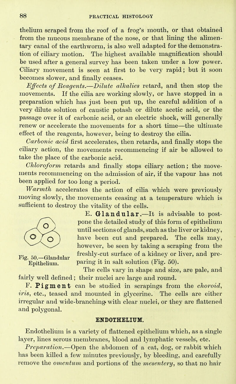 thelium scraped from the roof of a frog's mouth, or that obtained from the mucous membrane of the nose, or that lining the ahmen- tary canal of the earthworm, is also well adapted for the demonstra- tion of ciliary motion. The highest available magnification should be used after a general survey has been taken under a low power. Ciliary movement is seen at first to be very rapid; but it soon becomes slower, and finally ceases. Effects of Beagents.—Dilute alJcalies retard, and then stop the movements. If the cilia are working slowly, or have stopped in a preparation which has just been put up, the careful addition of a very dilute solution of caustic potash or dilute acetic acid, or the passage over it of carbonic acid, or an electric shock, will generally renew or accelerate the movements for a short time—the ultimate effect of the reagents, however, being to destroy the cilia. Carbonic acid first accelerates, then retards, and finally stops the ciliary action, the movements recommencing if air be allowed to take the place of the carbonic acid. CJiloroform retards and finally stops ciliary action; the move- ments recommencing on the admission of air, if the vapour has not been applied for too long a period. Warmth accelerates the action of cilia which were previously moving slowly, the movements ceasing at a temperature which is sufficient to destroy the vitality of the cells. E. Griandular.—It is advisable to post- pone the detailed study of this form of epithelium until sections of glands, such as the liver or kidney, have been cut and prepared. The cells may, however, be seen by taking a scraping from the _ freshly-cut surface of a kidney or liver, and pre- Epithelium. paring it in salt solution (Fig. 50). The cells vary in shape and size, are pale, and fairly well defined; their nuclei are large and round. F. Pigment can be studied in scrapings from the choroid, iris, etc., teased and mounted in glycerine. The cells are either irregular and wide-branchings with clear nuclei, or they are flattened and polygonal. ENDOTHELIUM. Endothelium is a variety of flattened epithelium which, as a single layer, lines serous membranes, blood and lymphatic vessels, etc. Preparation.—Open the abdomen of a cat, dog, or rabbit which has been killed a few minutes previously, by bleeding, and carefully remove the omentum and portions of the mesentery, so that no hair