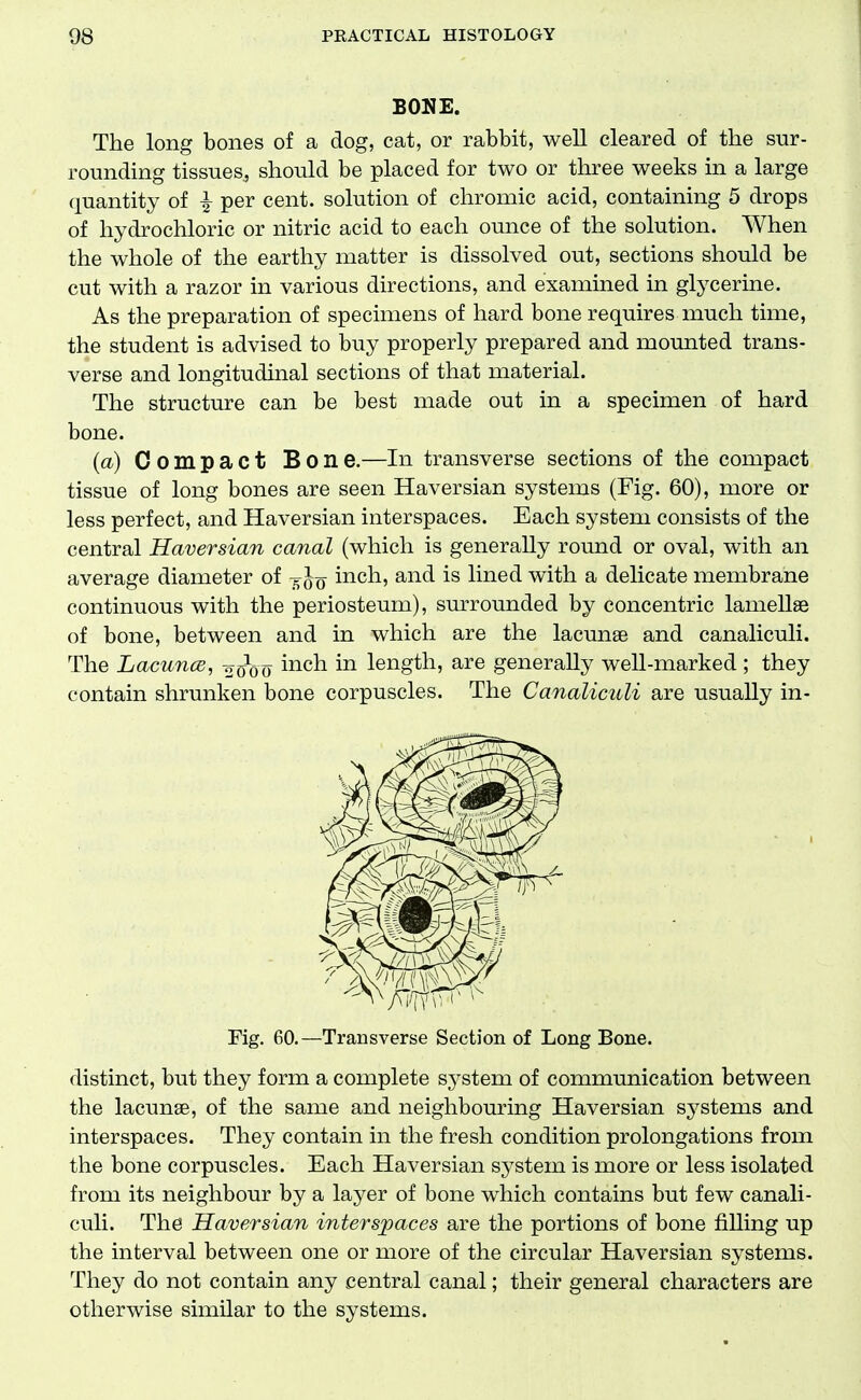 BONE. The long bones of a dog, cat, or rabbit, well cleared of the sur- rounding tissues., should be placed for two or three weeks in a large quantity of ^ per cent, solution of chromic acid, containing 5 drops of hydrochloric or nitric acid to each ounce of the solution. When the whole of the earthy matter is dissolved out, sections should be cut with a razor in various directions, and examined in gtycerine. As the preparation of specimens of hard bone requires much time, the student is advised to buy properly prepared and mounted trans- verse and longitudinal sections of that material. The structure can be best made out in a specimen of hard bone. (a) Compact Bone.—In transverse sections of the compact tissue of long bones are seen Haversian systems (Fig. 60), more or less perfect, and Haversian interspaces. Each system consists of the central Haversian canal (which is generally roimd or oval, with an average diameter of -^^q inch, and is lined with a delicate membrane continuous with the periosteum), sm^rounded by concentric lamellae of bone, between and in which are the lacunae and canaliculi. The LacuncB, -^^qq inch in length, are generally well-marked ; they contain shrunken bone corpuscles. The Canaliculi are usually in- distinct, but they form a complete system of communication between the lacunae, of the same and neighbouring Haversian systems and interspaces. They contain in the fresh condition prolongations from the bone corpuscles. Each Haversian system is more or less isolated from its neighbour by a layer of bone which contains but few canali- culi. The Haversian interspaces are the portions of bone filling up the interval between one or more of the circular Haversian systems. They do not contain any central canal; their general characters are otherwise similar to the systems. Fig. 60.—Transverse Section of Long Bone.