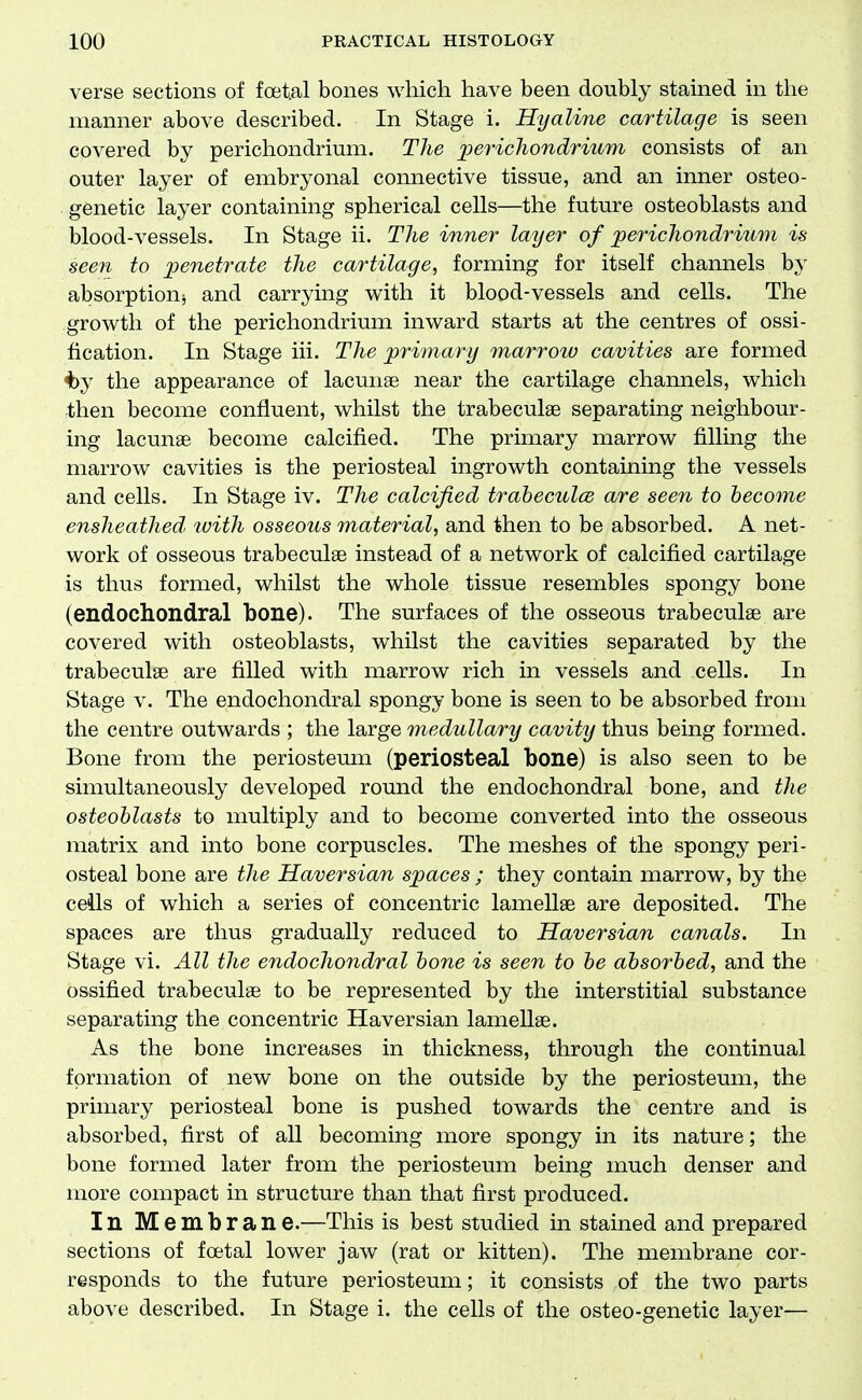 verse sections of foetal bones which have been doubly stained in the manner above described. In Stage i. Hyaline cartilage is seen covered by perichondrium. The perichondrium consists of an outer layer of embryonal connective tissue, and an inner osteo- genetic layer containing spherical cells—the future osteoblasts and blood-vessels. In Stage ii. The inner layer of perichondrium is seen to penetrate the cartilage, forming for itself channels by absorption^ and carrying with it blood-vessels and cells. The growth of the perichondrium inward starts at the centres of ossi- fication. In Stage iii. The primary marroiu cavities are formed ^y the appearance of lacunae near the cartilage channels, which then become confluent, whilst the trabeculse separating neighbour- ing lacunae become calcified. The primary marrow filling the marrow cavities is the periosteal ingrowth containing the vessels and cells. In Stage iv. The calcified traheculcB are seen to become ensheathed, luith osseous material, and then to be absorbed. A net- work of osseous trabeculee instead of a network of calcified cartilage is thus formed, whilst the whole tissue resembles spongy bone (endochondral bone). The surfaces of the osseous trabeculae are covered with osteoblasts, whilst the cavities separated by the trabeculae are filled with marrow rich in vessels and cells. In Stage V. The endochondral spongy bone is seen to be absorbed from the centre outwards ; the large medullary cavity thus being formed. Bone from the periosteum (periosteal bone) is also seen to be simultaneously developed round the endochondral bone, and the osteoblasts to multiply and to become converted into the osseous matrix and into bone corpuscles. The meshes of the spongy peri- osteal bone are the Haversian spaces ; they contain marrow, by the ceils of which a series of concentric lamellae are deposited. The spaces are thus gradually reduced to Haversian canals. In Stage vi. All the endochondral bone is seen to be absorbed, and the ossified trabeculae to be represented by the interstitial substance separating the concentric Haversian lamellae. As the bone increases in thickness, through the continual formation of new bone on the outside by the periosteum, the primary periosteal bone is pushed towards the centre and is absorbed, first of aU becoming more spongy in its nature; the bone formed later from the periosteum being much denser and more compact in structure than that first produced. In Membrane.—This is best studied in stained and prepared sections of foetal lower jaw (rat or kitten). The membrane cor- responds to the future periosteum; it consists of the two parts above described. In Stage i. the cells of the osteo-genetic layer—