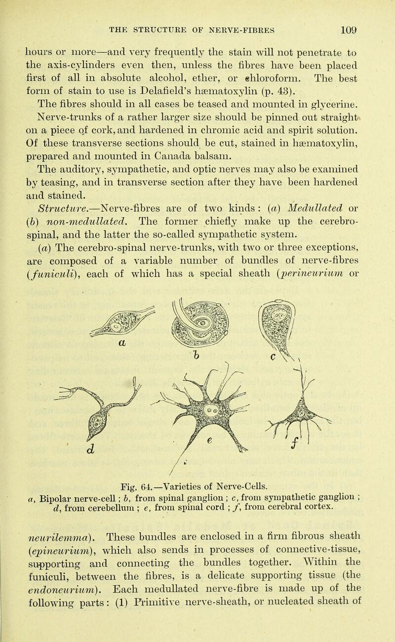 hours or more—and very frequently the stain will not penetrate to the axis-cylinders even then, unless the fibres have been placed first of all in absolute alcohol, ether, or ehloroform. The best form of stain to use is Delafield's haematoxylin (p. 43). The fibres should in all cases be teased and mounted in glycerine. Nerve-trunks of a rather larger size should be pinned out straight on a piece of cork, and hardened in chromic acid and spirit solution. Of these transverse sections should be cut, stained in haematoxylin, prepared and mounted in Canada balsam. The auditory, sympathetic, and optic nerves may also be examined by teasing, and in transverse section after they have been hardened and stained. Structure.—Nerve-fibres are of two kinds : {a) MeduUated or (b) non-meduUated. The former chiefly make up the cerebro- spinal, and the latter the so-called sympathetic system. {a) The cerebro-spinal nerve-trunks, with two or three exceptions, are composed of a variable number of bundles of nerve-fibres (funiculi), each of which has a special sheath {perineurium or Fig. 64.—Varieties of Nerve-Cells. a, Bipolar nerve-cell; b, from spinal ganglion ; c, from sympathetic ganglion d, from cerebellum ; e, from spinal cord ; /, from cerebral cortex. neurilemma). These bundles are enclosed in a firm fibrous sheath [epineurium), which also sends in processes of connective-tissue, supporting and connecting the bundles together. Within the funicuH, between the fibres, is a dehcate supporting tissue (the endoneurium). Each meduUated nerve-fibre is made up of the following parts : (1) Primitive nerve-sheath, or nucleated sheath of