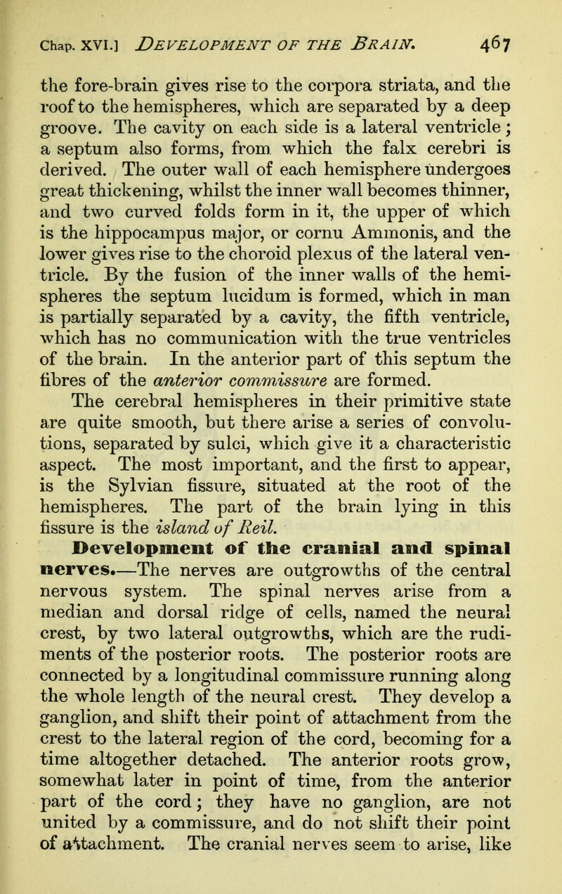the fore-brain gives rise to the corpora striata, and the roof to the hemispheres, which are separated by a deep groove. The cavity on each side is a lateral ventricle; a septum also forms, from which the falx cerebri is derived. The outer wall of each hemisphere undergoes great thickening, whilst the inner wall becomes thinner, and two curved folds form in it, the upper of w^hich is the hippocampus major, or cornu Ammonis, and the lower gives rise to the choroid plexus of the lateral ven- tricle. By the fusion of the inner walls of the hemi- spheres the septum lucidum is formed, which in man is partially separated by a cavity, the fifth ventricle, which has no communication with the true ventricles of the brain. In the anterior part of this septum the fibres of the anterior commissure are formed. The cerebral hemispheres in their primitive state are quite smooth, but there arise a series of convolu- tions, separated by sulci, which give it a characteristic aspect. The most important, and the first to appear, is the Sylvian fissure, situated at the root of the hemispheres. The part of the brain lying in this fissure is the island of Eeil. Development of ttie cranial and spinal nerves.—The nerves are outgrowths of the central nervous system. The spinal nerves arise from a median and dorsal ridge of cells, named the neural crest, by two lateral outgrowths, which are the rudi- ments of the posterior roots. The posterior roots are connected by a longitudinal commissure running along the whole length of the neural crest. They develop a ganglion, and shift their point of attachment from the crest to the lateral region of the cord, becoming for a time altogether detached. The anterior roots grow, somewhat later in point of time, from the anterior part of the cord; they have no ganglion, are not united by a commissure, and do not shift their point of attachment. The cranial nerves seem to arise, like