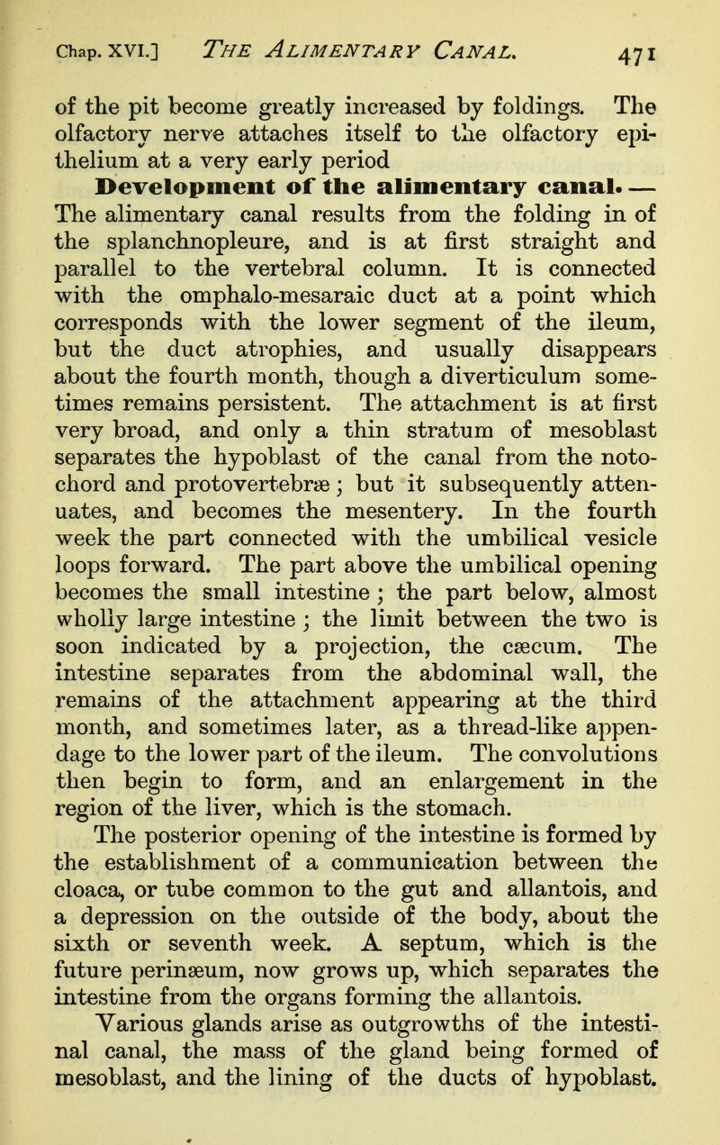 of the pit become greatly increased by foldings. The olfactory nerve attaches itself to the olfactory epi- thelium at a very early period Development of the alimentary canal* — The alimentary canal results from the folding in of the splanchnopleure, and is at first straight and parallel to the vertebral column. It is connected with the omphalo-mesaraic duct at a point which corresponds with the lower segment of the ileum, but the duct atrophies, and usually disappears about the fourth month, though a diverticulum some- times remains persistent. The attachment is at first very broad, and only a thin stratum of mesoblast separates the hypoblast of the canal from the noto- chord and protovertebrse; but it subsequently atten- uates, and becomes the mesentery. In the fourth week the part connected with the umbilical vesicle loops forward. The part above the umbilical opening becomes the small intestine ; the part below, almost wholly large intestine ; the limit between the two is soon indicated by a projection, the caecum. The intestine separates from the abdominal wall, the remains of the attachment appearing at the third month, and sometimes later, as a thread-like appen- dage to the lower part of the ileum. The convolutions then begin to form, and an enlargement in the region of the liver, which is the stomach. The posterior opening of the intestine is formed by the establishment of a communication between the cloaca, or tube common to the gut and allantois, and a depression on the outside of the body, about the sixth or seventh week. A septum, which is the future perinseum, now grows up, which separates the intestine from the organs forming the allantois. Yarious glands arise as outgrowths of the intesti- nal canal, the mass of the gland being formed of mesoblast, and the lining of the ducts of hypoblast.