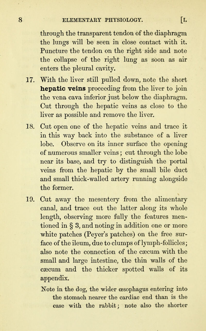 through the transparent tendon of the diaphragm the lungs will be seen in close contact with it. Puncture the tendon on the right side and note the collapse of the right lung as soon as air enters the pleural cavity. 17. With the liver still pulled down, note the short hepatic veins proceeding from the liver to join the vena cava inferior just below the diaphragm. Cut through the hepatic veins as close to the liver as possible and remove the liver. 18. Out open one of the hepatic veins and trace it in this way back into the substance of a liver lobe. Observe on its inner surface the opening of numerous smaller veins; cut through the lobe near its base, and try to distinguish the portal veins from the hepatic by the small bile duct and small thick-walled artery running alongside the former. 19. Out away the mesentery from the alimentary canal, and trace out the latter along its whole length, observing more fully the features men- tioned in § 8, and noting in addition one or more white patches (Peyer's patches) on the free sur- face of the ileum, due to clumps of lymph-follicles; also note the connection of the csecum with the small and large intestine, the thin walls of the csecum and the thicker spotted walls of its appendix. !N^ote in the dog, the wider oesophagus entering into the stomach nearer the cardiac end than is the case with the rabbit; note also the shorter