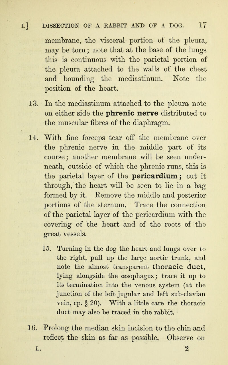 membrane, the visceral portion of the pleura, may be torn; note that at the base of the lungs this is continuous with the parietal portion of the pleura attached to the walls of the chest and bounding the mediastinum. Note the position of the heart, 13, In the mediastinum attached to the pleura note on either side the phrenic nerve distributed to the muscular fibres of the diaphragm. 14. With fine forceps tear off the membrane over the phrenic nerve in the middle part of its course; another membrane will be seen under- neath, outside of which the phrenic runs, this is the parietal layer of the pericardium; cut it through, the heart will be seen to lie in a bag formed by it. Remove the middle and posterior portions of the sternum. Trace the connection of the parietal layer of the pericardium with the covering of the heart and of the roots of the great vessels. 15. Turning in the dog the heart and lungs over to the right, pull up the large aortic trunk, and note the almost transparent thoracic duct, lying alongside the oesophagus; trace it up to its termination into the venous system (at the junction of the left jugular and left sub-clavian vein, cp. § 20). With a little care the thoracic duct may also be traced in the rabbit. 16. Prolong the median skin incision to the chin and reflect the skin as far as possible. Observe on L. 2