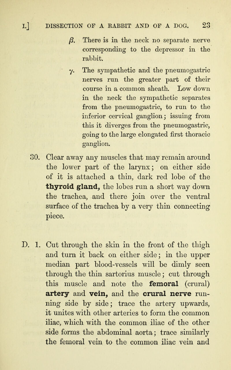 There is in the neck no separate nerve corresponding to the depressor in the rabbit. y. The sympathetic and the pneumogastric nerves run the greater part of their course in a common sheath. Low down in the neck the sympathetic separates from the pneumogastric, to run to the inferior cervical ganglion; issuing from this it diverges from the pneumogastric, going to the large elongated first thoracic ganglion. 30. Clear away any muscles that may remain around the lower part of the larynx; on either side of it is attached a thin, dark red lobe of the thyroid gland^ the lobes run a short way down the trachea, and there join over the ventral surface of the trachea by a very thin connecting piece. 1. Cut through the skin in the front of the thigh and turn it back on either side; in the upper median part blood-vessels will be dimly seen through the thin sartorius muscle; cut through this muscle and note the femoral (crural) artery and vein, and the crural nerve run- ning side by side; trace the artery upwards, it unites with other arteries to form the common iliac, which with the common iliac of the other side forms the abdominal aorta; trace similarly the femoral vein to the common iliac vein and