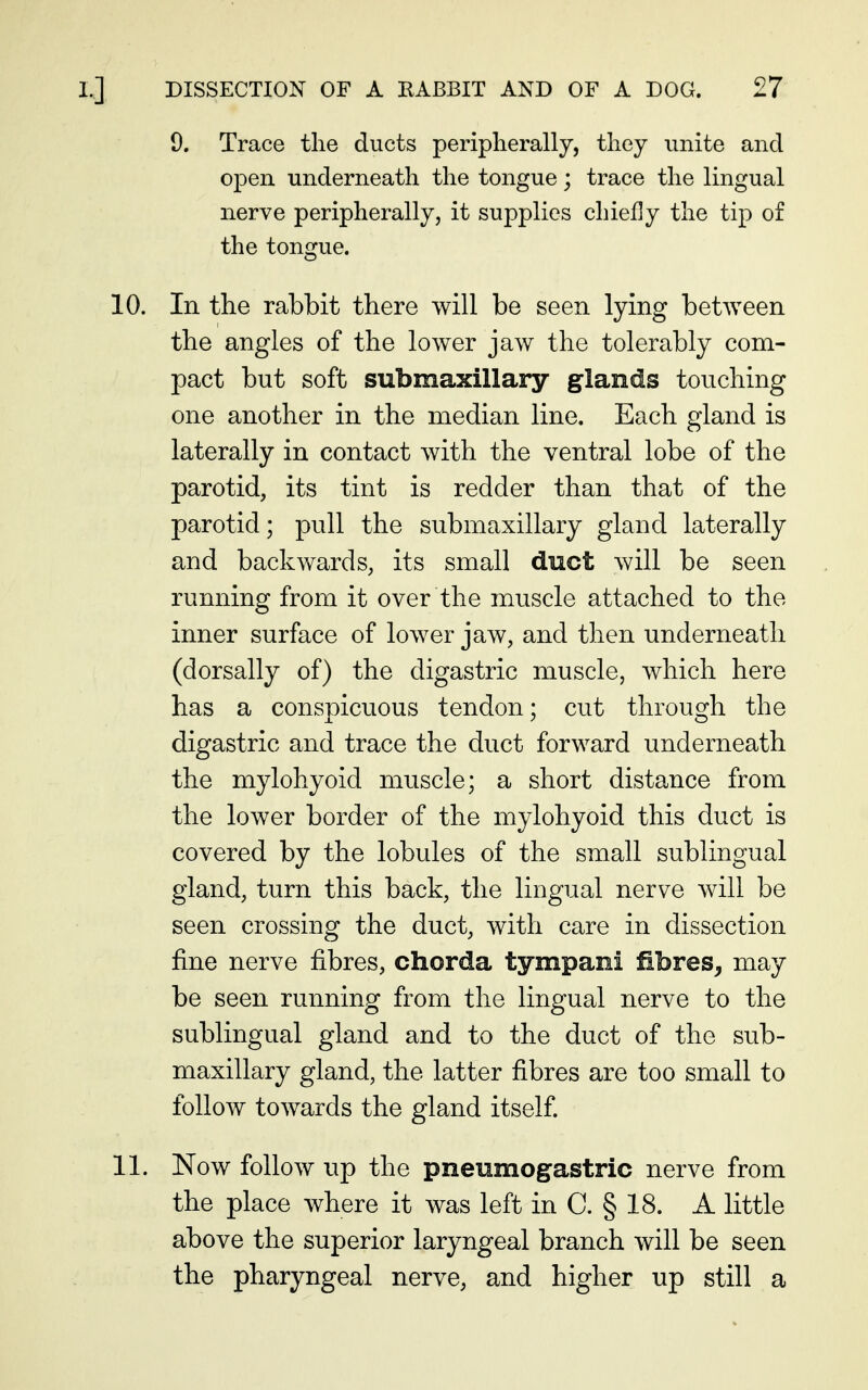 9. Trace the ducts peripherally, they unite and open underneath the tongue; trace the lingual nerve peripherally, it supplies chiefly the tip of the tongue. 10. In the rabbit there will be seen lying between the angles of the lower jaw the tolerably com- pact but soft submaxillary glands touching one another in the median line. Each gland is laterally in contact with the ventral lobe of the parotid, its tint is redder than that of the parotid; pull the submaxillary gland laterally and backwards, its small duct will be seen running from it over the muscle attached to the inner surface of lower jaw, and then underneath (dorsally of) the digastric muscle, which here has a conspicuous tendon; cut through the digastric and trace the duct forward underneath the mylohyoid muscle; a short distance from the lower border of the mylohyoid this duct is covered by the lobules of the small sublingual gland, turn this back, the lingual nerve will be seen crossing the duct, with care in dissection fine nerve fibres, chorda tympani £bres^ may be seen running from the lingual nerve to the sublingual gland and to the duct of the sub- maxillary gland, the latter fibres are too small to follow towards the gland itself. 11. Now follow up the pneumogastric nerve from the place where it was left in C. § 18. A little above the superior laryngeal branch will be seen the pharyngeal nerve, and higher up still a