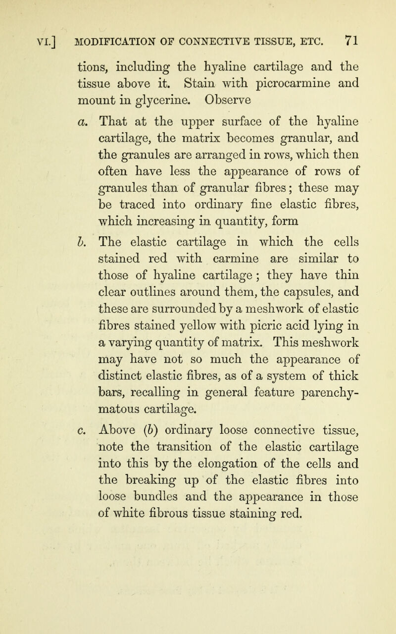 tions, including the hyaline cartilage and the tissue above it. Stain with picrocarmine and mount in glycerine. Observe a. That at the upper surface of the hyaline cartilage, the matrix becomes granular, and the granules are arranged in rows, which then often have less the appearance of rows of granules than of granular fibres; these may be traced into ordinary fine elastic fibres, which increasing in quantity, form h. The elastic cartilage in which the cells stained red with carmine are similar to those of hyaline cartilage ; they have thin clear outlines around them, the capsules, and these are surrounded by a mesh work of elastic fibres stained yellow with picric acid lying in a varying quantity of matrix. This mesh work may have not so much the appearance of distinct elastic fibres, as of a system of thick bars, recalling in general feature parenchy- matous cartilage. c. Above (6) ordinary loose connective tissue, note the transition of the elastic cartilage into this by the elongation of the cells and the breaking up of the elastic fibres into loose bundles and the appearance in those of white fibrous tissue staining red.