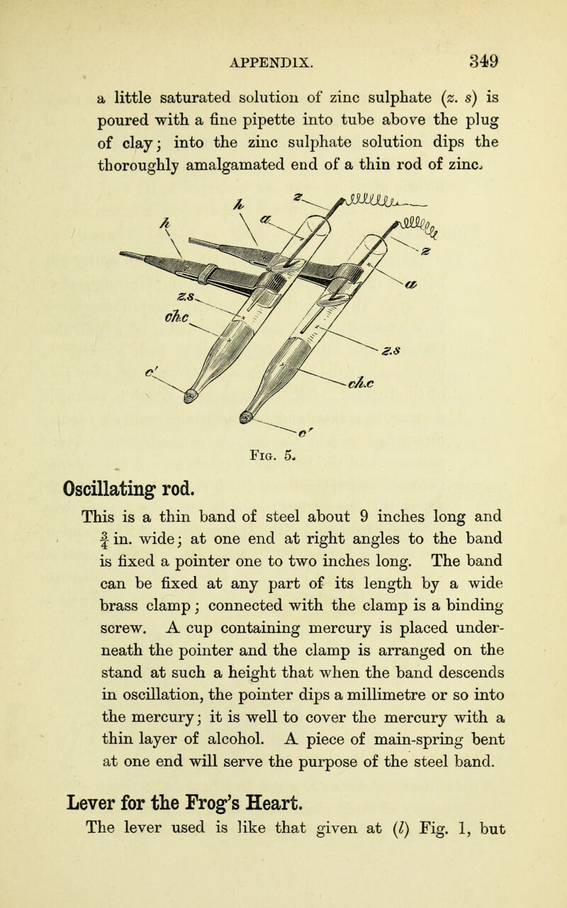 a little saturated solution of zinc sulphate (z. s) is poured with a fine pipette into tube above the plug of clay; into the zinc sulphate solution dips the thoroughly amalgamated end of a thin rod of zinc^ Fig. 5- Oscillating rod. This is a thin band of steel about 9 inches long and f in. wide; at one end at right angles to the band is fixed a pointer one to two inches long. The band can be fixed at any part of its length by a wide brass clamp; connected with the clamp is a binding screw. A cup containing mercury is placed under- neath the pointer and the clamp is arranged on the stand at such a height that when the band descends in oscillation, the pointer dips a millimetre or so into the mercury; it is well to cover the mercury with a thin layer of alcohol. A piece of main-spring bent at one end will serve the purpose of the steel band. Lever for the Frog's Heart. The lever used is like that given at (Z) Fig. 1, but