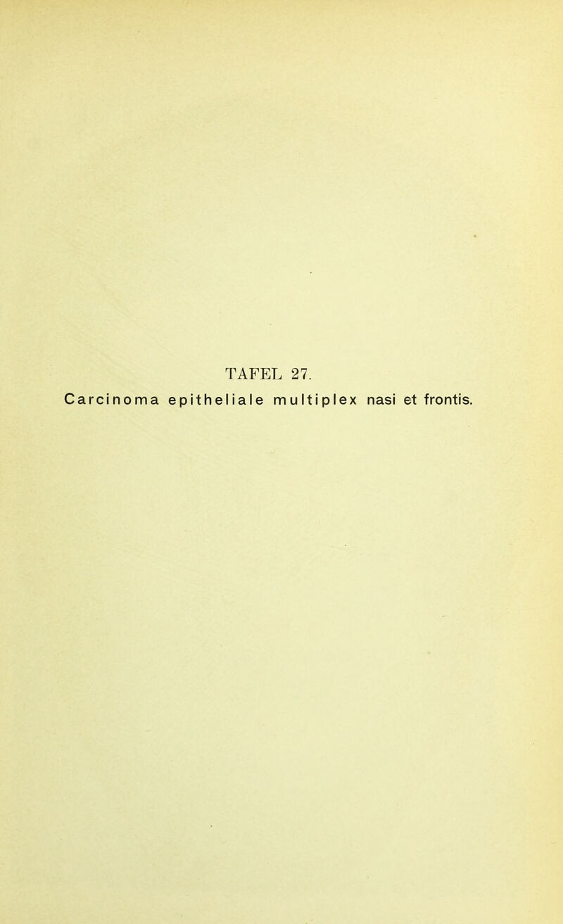 TAFEL 27. Carcinoma epitheliale multiplex nasi et frontis.