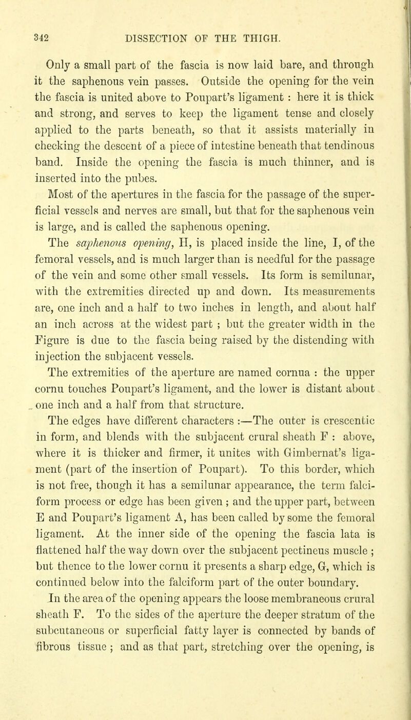 Only a small part of the fascia is now laid bare, and through it the saphenous vein passes. Outside the opening for the vein the fascia is united above to Poupart's ligament : here it is thick and strong, and serves to keep the ligament tense and closely applied to the parts beneath, so that it assists materially in checking the descent of a piece of intestine beneath that tendinous band. Inside the opening the fascia is much thinner, and is inserted into the pubes. Most of the apertures in the fascia for the passage of the super- ficial vessels and nerves are small, but that for the saphenous vein is large, and is called the saphenous opening. The saphenous opening, H, is placed inside the line, I, of the femoral vessels, and is much larger than is needful for the passage of the vein and some other small vessels. Its form is semilunar, with the extremities directed up and down. Its measurements are, one inch and a half to two inches in length, and about half an inch across at the widest part ; but the greater width in the Figure is due to the fascia being raised by the distending with injection the subjacent vessels. The extremities of the aperture are named cornua : the upper cornu touches Poupart's ligament, and the lower is distant about one inch and a half from that structure. The edges have different characters :—The outer is crescentic in form, and blends with the subjacent crural sheath F : above, where it is thicker and firmer, it unites with Gimbernat's liga- ment (part of the insertion of Poupart). To this border, which is not free, though it has a semilunar appearance, the term falci- form process or edge has been given ; and the upper part, between E and Poupart's ligament A, has been called by some the femoral ligament. At the inner side of the opening the fascia lata is flattened half the way down over the subjacent pectineus muscle ; but thence to the lower cornu it presents a sharp edge, G, which is continued below into the falciform part of the outer boundary. In the area of the opening appears the loose membraneous crural sheath F. To the sides of the aperture the deeper stratum of the subcutaneous or superficial fatty layer is connected by bands of fibrous tissue ; and as that part, stretching over the opening, is