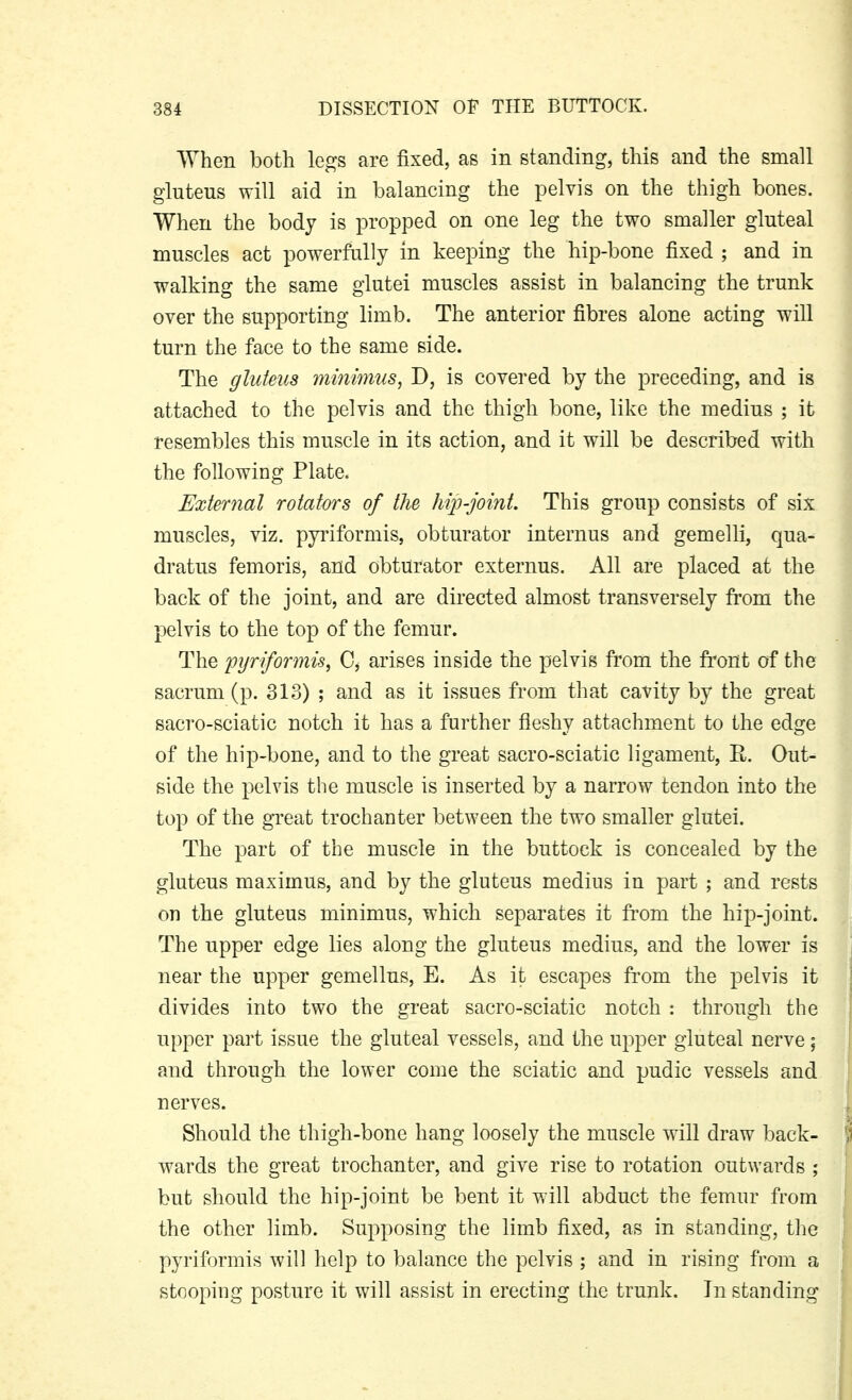 When both legs are fixed, as in standing, this and the small gluteus will aid in balancing the pelvis on the thigh bones. When the body is propped on one leg the two smaller gluteal muscles act powerfully in keeping the hip-bone fixed ; and in walking the same glutei muscles assist in balancing the trunk over the supporting limb. The anterior fibres alone acting will turn the face to the same side. The gluteus minimus, D, is covered by the preceding, and is attached to the pelvis and the thigh bone, like the medius ; it resembles this muscle in its action, and it will be described with the following Plate. External rotators of the hijj-joint. This group consists of six muscles, viz. pyriformis, obturator internus and gemelli, qua- dratus femoris, and obturator externus. All are placed at the back of the joint, and are directed almost transversely from the pelvis to the top of the femur. The pyriformis, Cj arises inside the pelvis from the front of the sacrum (p. 313) ; and as it issues from that cavity by the great sacro-sciatic notch it has a further fleshy attachment to the edge of the hip-bone, and to the great sacro-sciatic ligament, R. Out- side the pelvis the muscle is inserted by a narrow tendon into the top of the great trochanter between the two smaller glutei. The part of the muscle in the buttock is concealed by the gluteus maximus, and by the gluteus medius in part ; and rests on the gluteus minimus, which separates it from the hip-joint. The upper edge lies along the gluteus medius, and the lower is near the upper gemellus, E. As it escapes from the pelvis it divides into two the great sacro-sciatic notch : through the upper part issue the gluteal vessels, and the upper gluteal nerve; and through the lower come the sciatic and pudic vessels and nerves. Should the thigh-bone hang loosely the muscle will draw back- wards the great trochanter, and give rise to rotation outwards ; but should the hip-joint be bent it will abduct the femur from the other limb. Supposing the limb fixed, as in standing, the pyriformis will help to balance the pelvis ; and in rising from a stooping posture it will assist in erecting the trunk. In standing