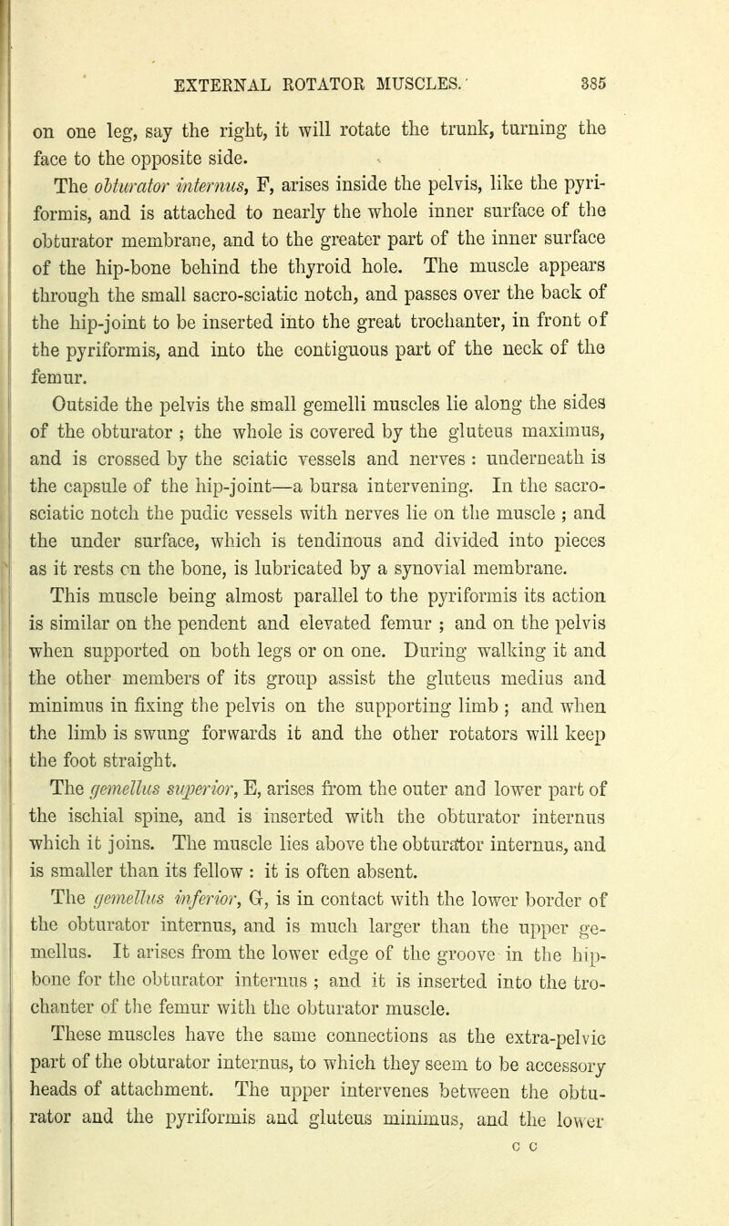 on one leg, say the right, it will rotate the trunk, turning the face to the opposite side. The oUurator mtermis, F, arises inside the pelvis, like the pyri- formis, and is attached to nearly the whole inner surface of the obturator membrane, and to the greater part of the inner surface of the hip-bone behind the thyroid hole. The muscle appears I through the small sacro-sciatic notch, and passes over the back of the hip-joint to be inserted into the great trochanter, in front of the pyriformis, and into the contiguous part of the neck of the i femur. Outside the pelvis the small gemelli muscles lie along the sides of the obturator ; the whole is covered by the gluteus maximus, j and is crossed by the sciatic vessels and nerves : underneath is 1 the capsule of the hip-joint—a bursa intervening. In the sacro- I sciatic notch the pudic vessels with nerves lie on the muscle ; and ' the under surface, which is tendinous and divided into pieces as it rests on the bone, is lubricated by a synovial membrane. This muscle being almost parallel to the pyriformis its action j is similar on the pendent and elevated femur ; and on the pelvis i when supported on both legs or on one. During walking it and i the other members of its group assist the gluteus medius and minimus in fixing the pelvis on the supporting limb ; and when > the limb is swung forwards it and the other rotators will keep i the foot straight. ' The gemellus sv/perior, E, arises from the outer and lower part of the ischial spine, and is inserted with the obturator internus which it joins. The muscle lies above the obturaltor internus, and is smaller than its fellow : it is often absent. The gemellus inferior, G, is in contact with the lower border of the obturator internus, and is much larger than the upper ge- j melius. It arises fi'om the lower edge of the groove in the hip- bone for the obturator internus ; and it is inserted into the tro- I chanter of the femur with the obturator muscle. These muscles have the same connections as the extra-pelvic part of the obturator internus, to which they seem to be accessory heads of attachment. The upper intervenes between the obtu- rator and the pyriformis and gluteus minimus, and the lower c c