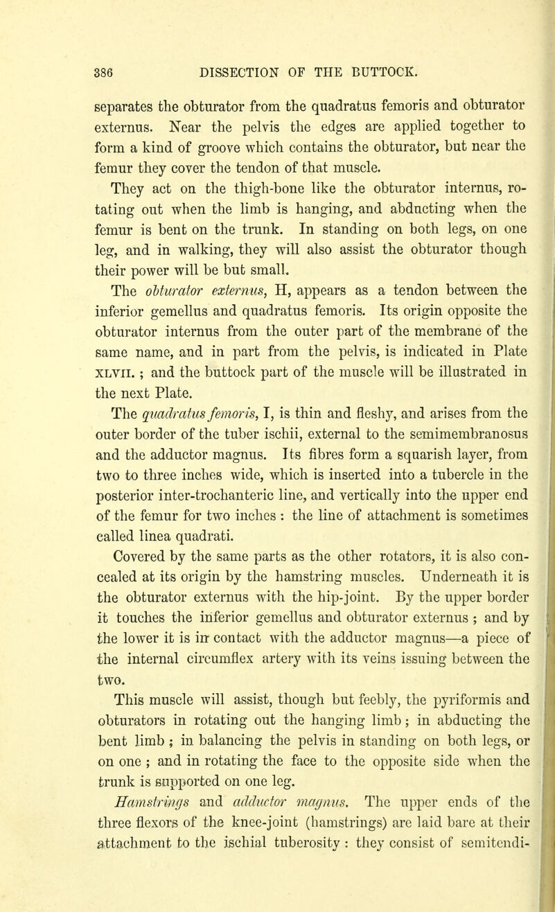 separates the obturator from the quadratus femoris and obturator externus. Near the pelvis the edges are applied together to form a kind of groove which contains the obturator, but near the femur they cover the tendon of that muscle. They act on the thigh-bone like the obturator internus, ro- tating out when the limb is hanging, and abducting when the femur is bent on the trunk. In standing on both legs, on one leg, and in walking, they will also assist the obturator though their power will be but small. The oMurator externus, H, appears as a tendon between the inferior gemellus and quadratus femoris. Its origin opposite the obturator internus from the outer part of the membrane of the same name, and in part from the pelvis, is indicated in Plate XLVii. ; and the buttock part of the muscle will be illustrated in the next Plate. The quadratus femoris, I, is thin and fleshy, and arises from the outer border of the tuber ischii, external to the semimembranosus and the adductor magnus. Its fibres form a squarish layer, from two to three inches wide, which is inserted into a tubercle in the posterior inter-trochanteric line, and vertically into the upper end of the femur for two inches : the line of attachment is sometimes called linea quadrati. Covered by the same parts as the other rotators, it is also con- cealed at its origin by the hamstring muscles. Underneath it is the obturator externus with the hip-joint. By the upper border it touches the inferior gemellus and obturator externus ; and by the lower it is in contact with the adductor magnus—a piece of the internal circumflex artery with its veins issuing between the two. This muscle will assist, though but feebly, the pyriformis and obturators in rotating out the hanging limb; in abducting the bent limb ; in balancing the pelvis in standing on both legs, or on one ; and in rotating the face to the opposite side when the trunk is supported on one leg. Hamstrings and adductor magnus. The upper ends of the three flexors of the knee-joint (hamstrings) are laid bare at their attachment to the ischial tuberosity : they consist of semitendi-