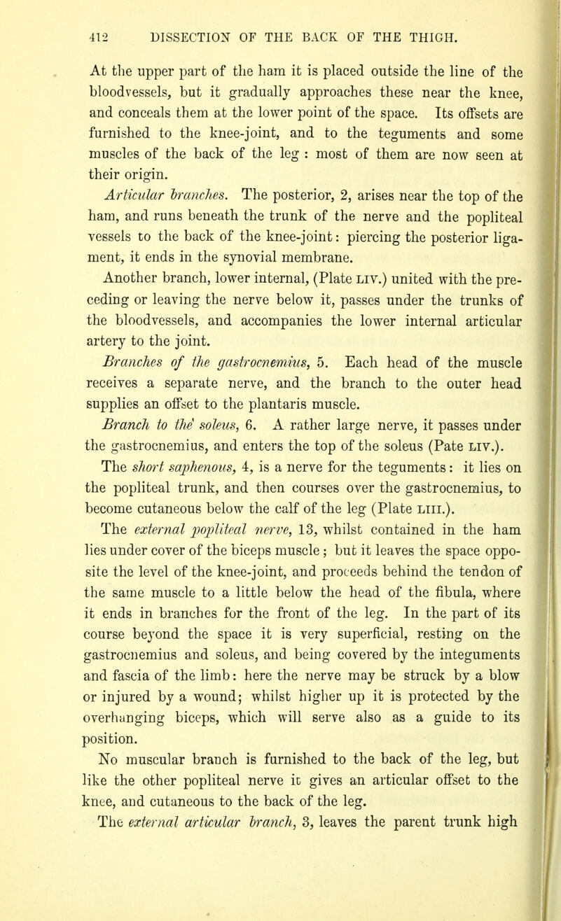 At the upper part of the ham it is placed outside the line of the bloodvessels, but it gradually approaches these near the knee, and conceals them at the lower point of the space. Its offsets are furnished to the knee-joint, and to the teguments and some muscles of the back of the leg : most of them are now seen at their origin. Articular hranches. The posterior, 2, arises near the top of the ham, and runs beneath the trunk of the nerve and the popliteal vessels to the back of the knee-joint: piercing the posterior liga- ment, it ends in the synovial membrane. Another branch, lower internal, (Plate liv.) united with the pre- ceding or leaving the nerve below it, passes under the trunks of the bloodvessels, and accompanies the lower internal articular artery to the joint. Branches of the gastrocnemius, 5. Each head of the muscle receives a separate nerve, and the branch to the outer head supplies an offset to the plantaris muscle. Branch to the soleus, 6. A rather large nerve, it passes under the gastrocnemius, and enters the top of the soleus (Pate liv.). The short saphenous, 4, is a nerve for the teguments: it lies on the popliteal trunk, and then courses over the gastrocnemius, to become cutaneous below the calf of the leg (Plate Liii.). The external jJoiMteal nerve, 13, whilst contained in the ham lies under cover of the biceps muscle; but it leaves the space oppo- site the level of the knee-joint, and proceeds behind the tendon of the same muscle to a little below the head of the fibula, where it ends in branches for the front of the leg. In the part of its course beyond the space it is very superficial, resting on the gastrocnemius and soleus, and being covered by the integuments and fascia of the limb: here the nerve may be struck by a blow or injured by a wound; whilst higher up it is protected by the overhanging biceps, which will serve also as a guide to its position. No muscular branch is furnished to the back of the leg, but like the other popliteal nerve it gives an articular offset to the knee, and cutaneous to the back of the leg. The external articular Iranch, 3, leaves the parent trunk high
