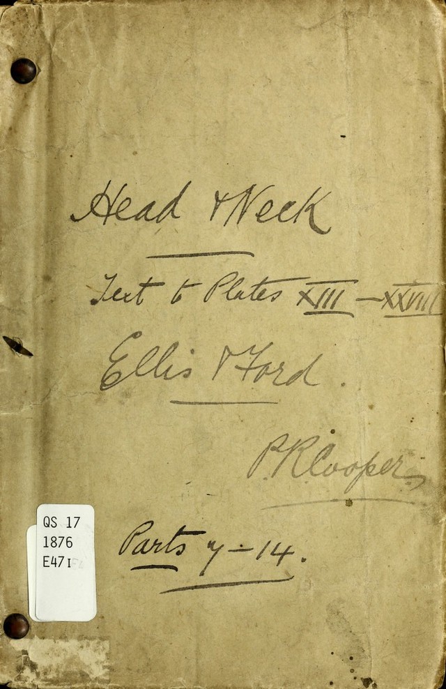 digitised image 1
