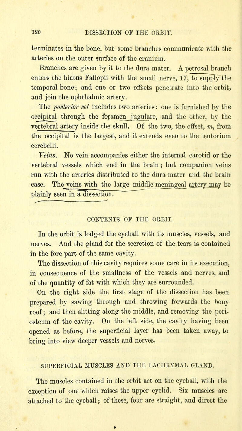 terminates in the bone, but some branches communicate with the arteries on the outer surface of the cranium. Branches are given by it to the dura mater. A petrosal branch enters the hiatus Fallopii with the small nerve, 17, to supply the temporal bone; and one or two offsets penetrate into the orbit, and join the ophthalmic artery. The posterior set includes two arteries: one is furnished by the occipital through the foramen jugulare, and the other, by the vertebral artery inside the skull. Of the two, the offset, m, from the occipital is the largest, and it extends even to the tentorium cerebelli. Veins. No vein accompanies either the internal carotid or the vertebral vessels which end in the brain; but companion veins run with the arteries distributed to the dura mater and the brain case. The veins with the large middle meningeal artery may be plainly seen in a dissection. In the orbit is lodged the eyeball with its muscles, vessels, and nerves. And the gland for the secretion of the tears is contained in the fore part of the same cavity. The dissection of this cavity requires some care in its execution, in consequence of the smallness of the vessels and nerves, and of the quantity of fat with which they are surrounded. On the right side the first stage of the dissection has been prepared by sawing through and throwing forwards the bony roof; and then slitting along the middle, and removing the peri- osteum of the cavity. On the left side, the cavity having been opened as before, the superficial layer has been taken away, to bring into view deeper vessels and nerves. SUPERFICIAL MUSCLES AND THE LACHRYMAL GLAND. The muscles contained in the orbit act on the eyeball, with the exception of one which raises the upper eyelid. Six muscles are attached to the eyeball; of these, four are straight, and direct the CONTENTS OF THE ORBIT.