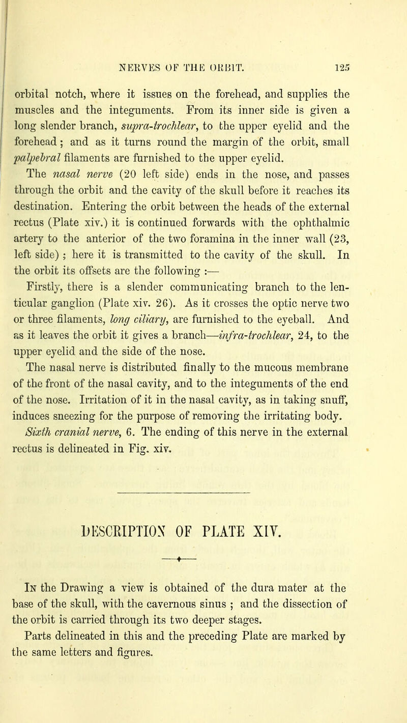 orbital notch, where it issues on the forehead, and supplies the muscles and the integuments. From its inner side is given a long slender branch, supra-trochlear, to the upper eyelid and the forehead; and as it turns round the margin of the orbit, small 'palpebral filaments are furnished to the upper eyelid. The nasal nerve (20 left side) ends in the nose, and passes through the orbit and the cavity of the skull before it reaches its destination. Entering the orbit between the heads of the external rectus (Plate xiv.) it is continued forwards with the ophthalmic artery to the anterior of the two foramina in the inner wall (23, left side) ; here it is transmitted to the cavity of the skull. In the orbit its offsets are the following :— Firstly, there is a slender communicating branch to the len- ticular ganglion (Plate xiv. 26). As it crosses the optic nerve two or three filaments, long ciliary, are furnished to the eyeball. And as it leaves the orbit it gives a branch—infra-trochlear, 24, to the upper eyelid and the side of the nose. The nasal nerve is distributed finally to the mucous membrane of the front of the nasal cavity, and to the integuments of the end of the nose. Irritation of it in the nasal cavity, as in taking snuff, induces sneezing for the purpose of removing the irritating body. Sixth cranial nerve, 6. The ending of this nerve in the external rectus is delineated in Fig. xiv. DESCRIPTION OF PLATE XIV. —♦— In the Drawing a view is obtained of the dura mater at the base of the skull, with the cavernous sinus ; and the dissection of the orbit is carried through its two deeper stages. Parts delineated in this and the preceding Plate are marked by the same letters and figures.