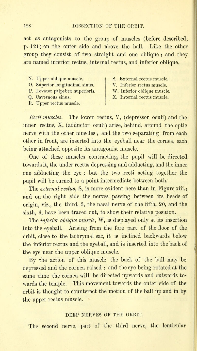 act as antagonists to the group of muscles (before described, p. 121) on the outer side and above the ball. Like the other group they consist of two straight and one oblique ; and they are named inferior rectus, internal rectus, and inferior oblique. R. Upper rectus muscle. Recti muscles. The lower rectus, V, (depressor oculi) and the inner rectus, X, (adductor oculi) arise, behind, around the optic nerve with the other muscles ; and the two separating from each other in front, are inserted into the eyeball near the cornea, each being attached opposite its antagonist muscle. One of these muscles contracting, the pupil will be directed towards it, the under rectus depressing and adducting, and the inner one adducting the eye ; but the two recti acting together the pupil will be turned to a point intermediate between both. The external rectus, S, is more evident here than in Figure xiii.; and on the right side the nerves passing between its heads of origin, viz., the third, 3, the nasal nerve of the fifth, 20, and the sixth, 6, have been traced out, to show their relative position. The inferior oblique muscle, W, is displayed only at its insertion into the eyeball. Arising from the fore part of the floor of the orbit, close to the lachrymal sac, it is inclined backwards below the inferior rectus and the eyeball, and is inserted into the back of the eye near the upper oblique muscle. By the action of this muscle the back of the ball may be depressed and the cornea raised ; and the eye being rotated at the same time the cornea will be directed upwards and outwards to- wards the temple. This movement towards the outer side of the orbit is thought to counteract the motion of the ball up and in by the upper rectus muscle. N. Upper oblique muscle. 0. Superior longitudinal sinus. P. Levator palpebrse superioris. Q. Cavernous sinus. S. External rectus muscle. V. Inferior rectus muscle. W. Inferior oblique muscle. X. Internal rectus muscle. DEEP NERVES OF THE ORBIT. The second nerve, part of the third nerve, the lenticular