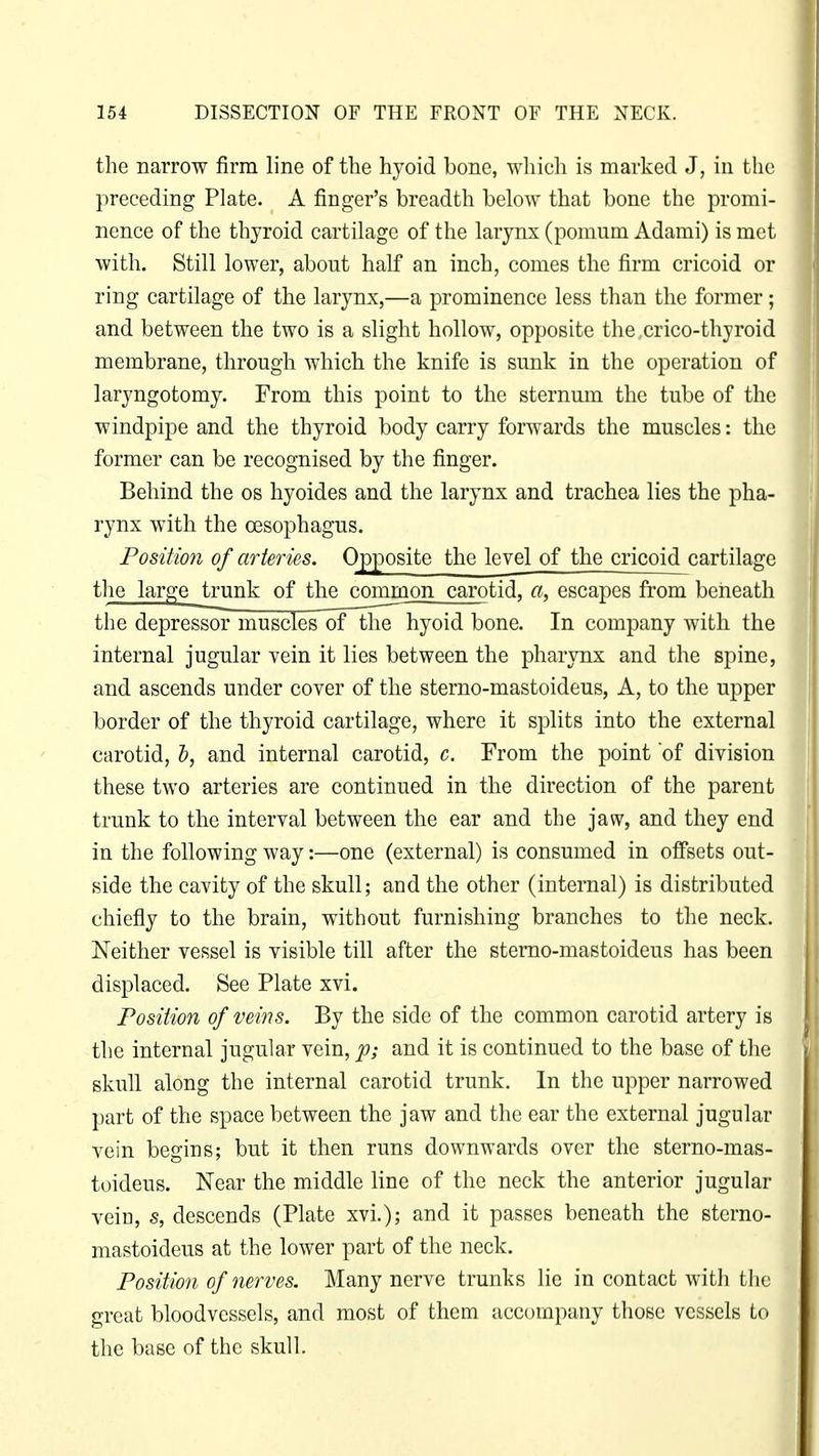 the narrow firm line of the hyoid bone, which is marked J, in the preceding Plate. A finger's breadth below that bone the promi- nence of the thyroid cartilage of the larynx (pomum Adami) is met with. Still lower, about half an inch, comes the firm cricoid or ring cartilage of the larynx,—a prominence less than the former; and between the two is a slight hollow, opposite the crico-thyroid membrane, through which the knife is sunk in the operation of laryngotomy. From this point to the sternum the tube of the windpipe and the thyroid body carry forwards the muscles: the former can be recognised by the finger. Behind the os hyoides and the larynx and trachea lies the pha- rynx with the oesophagus. Position of arteries. Opposite the level of the cricoid cartilage the large trunk of the common carotid, a, escapes from beneath the depressor muscles of the hyoid bone. In company with the internal jugular vein it lies between the pharynx and the spine, and ascends under cover of the sterno-mastoideus, A, to the upper border of the thyroid cartilage, where it splits into the external carotid, b, and internal carotid, c. From the point 'of division these two arteries are continued in the direction of the parent trunk to the interval between the ear and the jaw, and they end in the following way:—one (external) is consumed in offsets out- side the cavity of the skull; and the other (internal) is distributed chiefly to the brain, without furnishing branches to the neck. Neither vessel is visible till after the sterno-mastoideus has been displaced. See Plate xvi. Position of veins. By the side of the common carotid artery is the internal jugular vein, p; and it is continued to the base of the skull along the internal carotid trunk. In the upper narrowed part of the space between the jaw and the ear the external jugular vein begins; but it then runs downwards over the sterno-mas- toideus. Near the middle line of the neck the anterior jugular vein, s, descends (Plate xvi.); and it passes beneath the sterno- mastoideus at the lower part of the neck. Position of nerves. Many nerve trunks lie in contact with the great bloodvessels, and most of them accompany those vessels to the base of the skull.