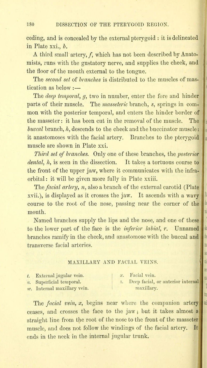 ceding, and is concealed by the external pterygoid : it is delineated in Plate xxi., b. A third small artery, /, which has not been described by Anato- mists, runs with the gustatory nerve, and supplies the cheek, and the floor of the mouth external to the tongue. The second set of branches is distributed to the muscles of mas- tication as below :— The deep temporal, g, two in number, enter the fore and hinder parts of their muscle. The masseteric branch, s, springs in com- mon with the posterior temporal, and enters the hinder border of the masseter: it has been cut in the removal of the muscle. The buccal branch, h, descends to the cheek and the buccinator muscle: it anastomoses with the facial artery. Branches to the pterygoid muscle are shown in Plate xxi. Third set of branches. Only one of these branches, the posterior dental, h, is seen in the dissection. It takes a tortuous course to the front of the upper jaw, where it communicates with the infra- orbital : it will be given more fully in Plate xxiii. The facial artery, n, also a branch of the external carotid (Plate xvii.), is displayed as it crosses the jaw. It ascends with a wavy course to the root of the nose, passing near the corner of the mouth. Named branches supply the lips and the nose, and one of these to the lower part of the face is the inferior labial, r. Unnamed branches ramify in the cheek, and anastomose with the buccal and transverse facial arteries. MAXILLARY AND FACIAL VEINS. t. External jugular vein. x. Facial vein. v. Superficial temporal. ~. Deep facial, or anterior internal iv. Internal maxillary vein. maxillary. The facial vein, x, begins near where the companion artery ceases, and crosses the face to the jaw; but it takes almost a straight line from the root of the nose to the front of the masseter muscle, and does not follow the windiDgs of the facial artery. It ends in the neck in the internal jugular trunk.