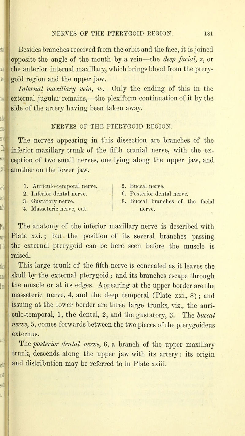 Besides branches received from the orbit and the face, it is joined opposite the angle of the mouth by a vein—the deep facial, z, or the anterior internal maxillary., which brings blood from the ptery- jgoid region and the upper jaw. Internal maxillary vein, iv. Only the ending of this in the external jugular remains,—the plexiform continuation of it by the side of the artery having been taken away. The nerves appearing in this dissection are branches of the inferior maxillary trunk of the fifth cranial nerve, with the ex- ception of two small nerves, one lying along the upper jaw, and another on the lower jaw. The anatomy of the inferior maxillary nerve is described with Plate xxi.; but the position of its several branches passing the external pterygoid can be here seen before the muscle is raised. This large trunk of the fifth nerve is concealed as it leaves the skull by the external pterygoid; and its branches escape through the muscle or at its edges. Appearing at the upper border are the masseteric nerve, 4, and the deep temporal (Plate xxi., 8); and issuing at the lower border are three large trunks, viz., the auri- culo-temporal, 1, the dental, 2, and the gustatory, 3. The luccal nerve, 5, comes forwards between the two pieces of the pterygoideus externus. The posterior dental nerve, 6, a branch of the upper maxillary trunk, descends along the upper jaw with its artery: its origin and distribution may be referred to in Plate xxiii. NERVES OF THE PTERYGOID REGION. 1. Auriculotemporal nerve. 2. Inferior dental nerve. 3. Gustatory nerve. 4. Masseteric nerve, cut. 5. Buccal nerve. 6. Posterior dental nerve. 8. Buccal branches of the facial nerve.