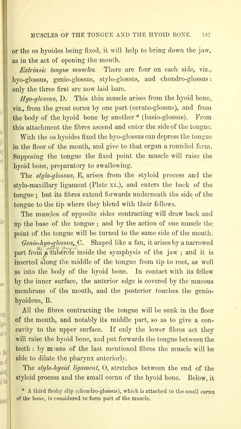 or the os hyoides being fixed, it will help to bring down the jaw, as in the act of opening the mouth. Extrinsic tongue muscles. There are four on each side, viz., hyo-glossus, genio-glossus, stylo-glossus, and chondro-glossus: only the three first are now laid bare. Hyo-glossus, D. This thin muscle arises from the hyoid bone, viz., from the great cornu by one part (cerato-glossus), and from the body of the hyoid bone by another * (basio-glossus). From this attachment the fibres ascend and enter the side of the tongue. With the os hyoides fixed the hyo-glossus can depress the tongue in the floor of the mouth, and give to that organ a rounded form. Supposing the tongue the fixed point the muscle will raise the hyoid bone, preparatory to swallowing. The stylo-glossus, E, arises from the styloid process and the stylo-maxillary ligament (Plate xx.), and enters the back of the tongue ; but its fibres extend forwards underneath the side of the tongue to the tip where they blend with their fellows. The muscles of opposite sides contracting will draw back and up the base of the tongue ; and by the action of one muscle the point of the tongue will be turned to the same side of the mouth. Gemo-hyo-glossusAj. Shaped like a fan, it arises by a narrowed part from'^a tubercle inside the symphysis of the jaw ; and it is inserted along the middle of the tongue from tip to root, as well as into the body of the hyoid bone. In contact with its fellow by the inner surface, the anterior edge is covered by the mucous membrane of the mouth, and the posterior touches the genio- hyoideus, B. All the fibres contracting the tongue will be sunk in the floor of the mouth, and notably its middle part, so as to give a con- cavity to the upper surface. If only the lower fibres act they will raise the hyoid bone, and put forwards the tongue between the teeth : by msans of the last mentioned fibres the muscle will be able to dilate the pharynx anteriorly. The stylo-hyoid ligament, 0, stretches between the end of the styloid process and the small cornu of the hyoid bone. Below, it * A third fleshy slip (chondro-glossus), which is attached to the small cornu of the bone, is considered to form part of the muscle.
