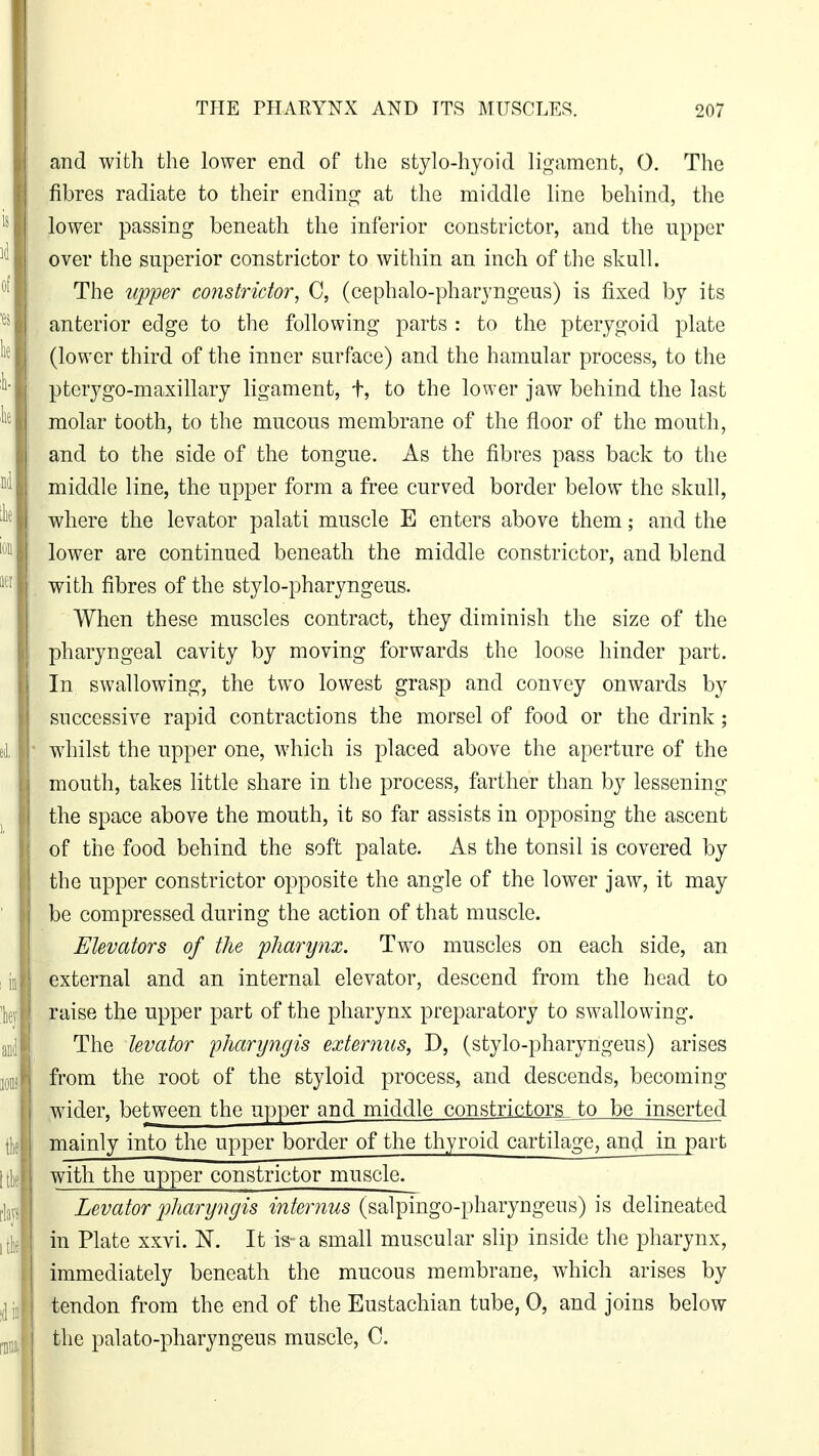 and with the lower end of the stylo-hyoid ligament, 0. The fibres radiate to their ending at the middle line behind, the lower passing beneath the inferior constrictor, and the upper over the superior constrictor to within an inch of the skull. The upper constrictor, C, (cephalo-pharyngeus) is fixed by its anterior edge to the following parts : to the pterygoid plate (lower third of the inner surface) and the hamular process, to the pterygo-maxillary ligament, t, to the lower jaw behind the last molar tooth, to the mucous membrane of the floor of the mouth, and to the side of the tongue. As the fibres pass back to the middle line, the upper form a free curved border below the skull, where the levator palati muscle E enters above them; and the lower are continued beneath the middle constrictor, and blend with fibres of the stylo-pharyngeus. When these muscles contract, they diminish the size of the pharyngeal cavity by moving forwards the loose hinder part. In swallowing, the two lowest grasp and convey onwards by successive rapid contractions the morsel of food or the drink; whilst the upper one, which is placed above the aperture of the mouth, takes little share in the process, farther than by lessening the space above the mouth, it so far assists in opposing the ascent of the food behind the soft palate. As the tonsil is covered by the upper constrictor opposite the angle of the lower jaw, it may be compressed during the action of that muscle. Elevators of the pharynx. Two muscles on each side, an external and an internal elevator, descend from the head to raise the upper part of the pharynx preparatory to swallowing. The levator pharyngis externus, D, (stylo-pharyngeus) arises from the root of the styloid process, and descends, becoming wider, between the upper and middle constrictors to be inserted mainly into the upper border of the thyroid cartilage, and in part with the upper constrictor muscle. Levator pharyngis internus (salpingo-pharyngens) is delineated in Plate xxvi. N. It is- a small muscular slip inside the pharynx, immediately beneath the mucous membrane, which arises by tendon from the end of the Eustachian tube, 0, and joins below the palato-pharyngeus muscle, C.