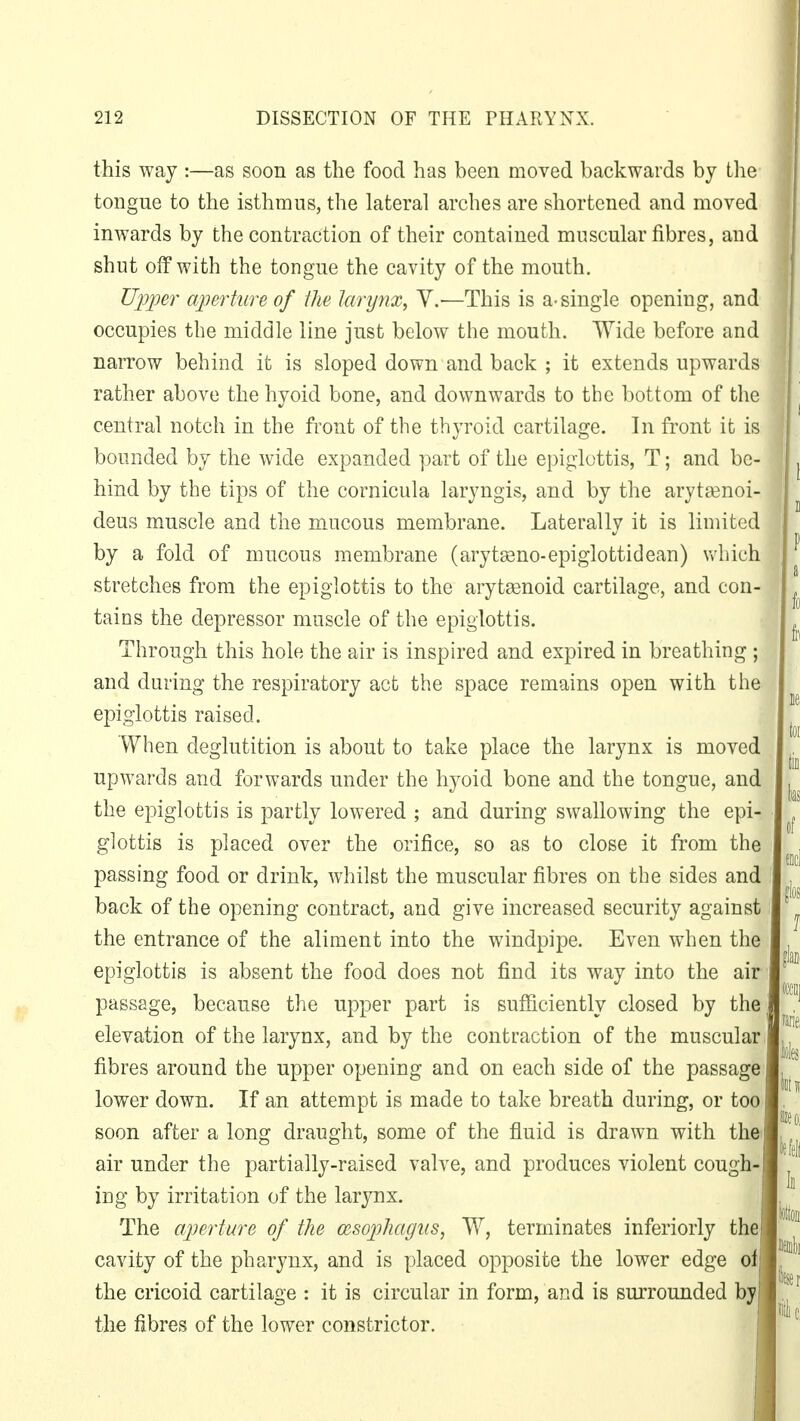 this way :—as soon as the food has been moved backwards by the tongue to the isthmus, the lateral arches are shortened and moved inwards by the contraction of their contained muscular fibres, and shut off with the tongue the cavity of the mouth. Upper aperture of the larynx, V.-—This is a-single opening, and occupies the middle line just below the mouth. Wide before and narrow behind it is sloped down and back ; it extends upwards rather above the hyoid bone, and downwards to the bottom of the central notch in the front of the thyroid cartilage. In front it is bounded by the wide expanded part of the epiglottis, T; and be- hind by the tips of the cornicula laryngis, and by the arytasnoi- deus muscle and the mucous membrane. Laterally it is limited by a fold of mucous membrane (arytseno-epiglottic! ean) which stretches from the epiglottis to the arytenoid cartilage, and con- tains the depressor muscle of the epiglottis. Through this hole the air is inspired and expired in breathing ; and during the respiratory act the space remains open with the epiglottis raised. When deglutition is about to take place the larynx is moved upwards and forwards under the hyoid bone and the tongue, and the epiglottis is partly lowered ; and during swallowing the epi- glottis is placed over the orifice, so as to close it from the passing food or drink, whilst the muscular fibres on the sides and back of the opening contract, and give increased security against the entrance of the aliment into the windpipe. Even when the epiglottis is absent the food does not find its way into the air passage, because the upper part is sufficiently closed by the elevation of the larynx, and by the contraction of the muscular fibres around the upper opening and on each side of the passage lower down. If an attempt is made to take breath during, or too soon after a long draught, some of the fluid is drawn with the air under the partially-raised valve, and produces violent cough- ing by irritation of the larynx. The aperture of the oesophagus, W, terminates inferiorly the cavity of the pharynx, and is placed opposite the lower edge of the cricoid cartilage : it is circular in form, and is surrounded by the fibres of the lower constrictor.