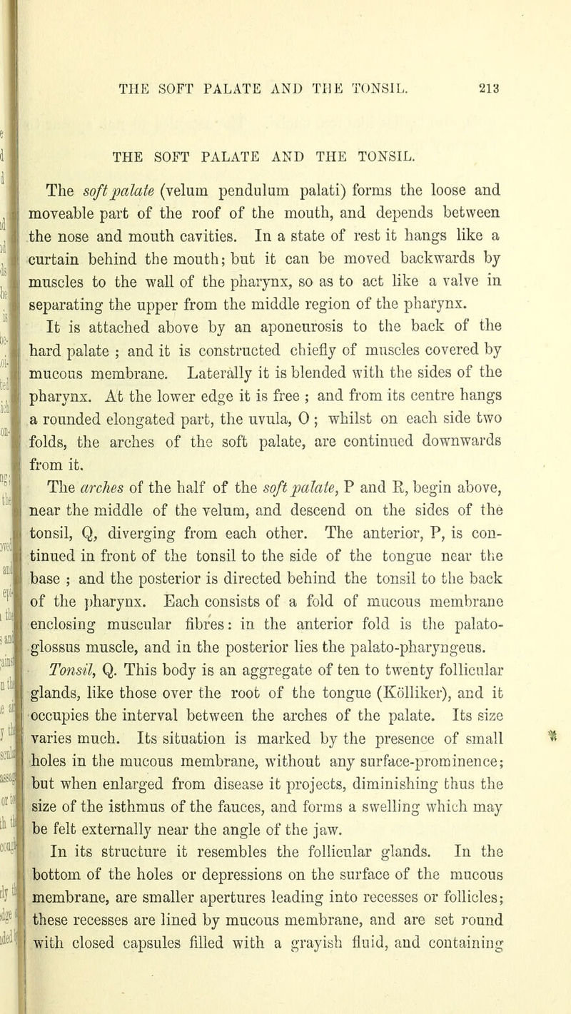 THE SOFT PALATE AND THE TONSIL. The soft palate (velum pendulum palati) forms the loose and moveable part of the roof of the mouth, and depends between the nose and mouth cavities. In a state of rest it hangs like a curtain behind the mouth; but it can be moved backwards by muscles to the wall of the pharynx, so as to act like a valve in separating the upper from the middle region of the pharynx. It is attached above by an aponeurosis to the back of the hard palate ; and it is constructed chiefly of muscles covered by mucous membrane. Laterally it is blended with the sides of the pharynx. At the lower edge it is free ; and from its centre hangs a rounded elongated part, the uvula, 0 ; whilst on each side two folds, the arches of the soft palate, are continued downwards from it. The arches of the half of the soft palate, P and K, begin above, near the middle of the velum, and descend on the sides of the tonsil, Q, diverging from each other. The anterior, P, is con- tinued in front of the tonsil to the side of the tongue near the base ; and the posterior is directed behind the tonsil to the back of the pharynx. Each consists of a fold of mucous membrane enclosing muscular fibres: in the anterior fold is the palato- glossus muscle, and in the posterior lies the palato-pharyngeus. Tonsil, Q. This body is an aggregate of ten to twenty follicular glands, like those over the root of the tongue (Kolliker), and it occupies the interval between the arches of the palate. Its size varies much. Its situation is marked by the presence of small holes in the mucous membrane, without any surface-prominence; but when enlarged from disease it projects, diminishing thus the size of the isthmus of the fauces, and forms a swelling which may be felt externally near the angle of the jaw. In its structure it resembles the follicular glands. In the bottom of the holes or depressions on the surface of the mucous membrane, are smaller apertures leading into recesses or follicles; these recesses are lined by mucous membrane, and are set round with closed capsules filled with a grayish fluid, and containing