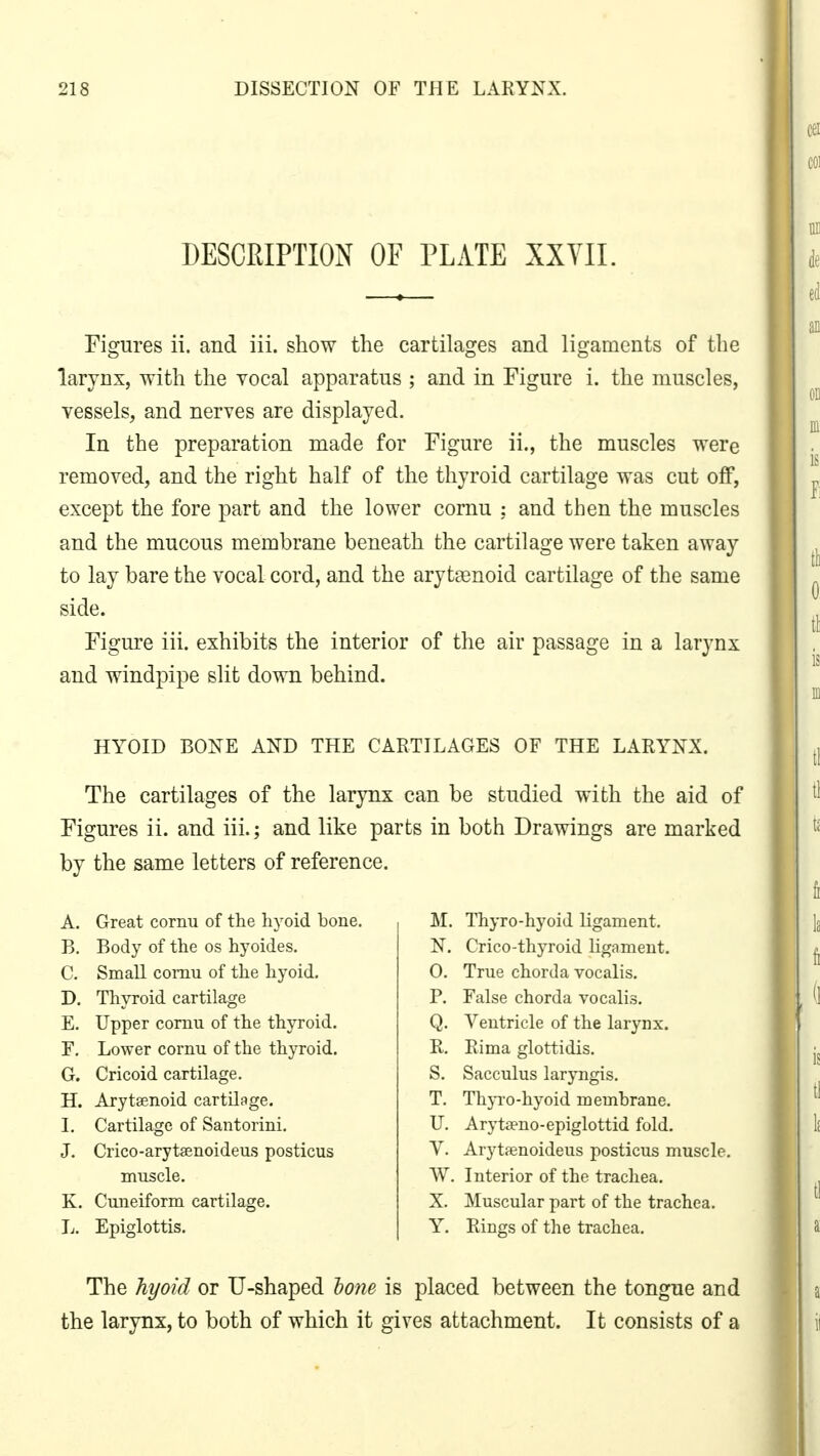 DESCRIPTION OF PLATE XXVII. Figures ii. and iii. show the cartilages and ligaments of the larynx, with the vocal apparatus ; and in Figure i. the muscles, vessels, and nerves are displayed. In the preparation made for Figure ii., the muscles were removed, and the right half of the thyroid cartilage was cut off, except the fore part and the lower cornu : and then the muscles and the mucous membrane beneath the cartilage were taken away to lay bare the vocal cord, and the arytenoid cartilage of the same side. Figure iii. exhibits the interior of the air passage in a larynx and windpipe slit down behind. HYOID BONE AND THE CARTILAGES OF THE LARYNX. The cartilages of the larynx can be studied with the aid of Figures ii. and iii.; and like parts in both Drawings are marked by the same letters of reference. A. Great cornu of the hyoid bone. B. Body of the os hyoides. C. Small cornu of the hyoid. D. Thyroid cartilage E. Upper cornu of the thyroid. F. Lower cornu of the thyroid. G. Cricoid cartilage. H. Arytenoid cartilage. I. Cartilage of Santorini. J. Crico-arytsenoideus posticus muscle. K. Cuneiform cartilage. L. Epiglottis. M. Thyro-hyoid ligament. N. Crico-thyroid ligament. 0. True chorda vocalis. P. False chorda vocalis. Q. Ventricle of the larynx. R. Rima glottidis. S. Sacculus laryngis. T. Thyro-hyoid membrane. U. Arytseno-epiglottid fold. V. Arytaenoideus posticus muscle. W. Interior of the trachea. X. Muscular part of the trachea. Y. Rings of the trachea. The hyoid or U-shaped oone is placed between the tongue and the larynx, to both of which it gives attachment. It consists of a