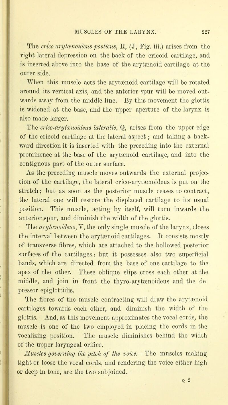 The crico-arytcenoideus posticus, B, (J, Fig. iii.) arises from the right lateral depression on the back of the cricoid cartilage, and is inserted above into the base of the arytenoid cartilage at the outer side. When this muscle acts the arytenoid cartilage will be rotated around its vertical axis, and the anterior spur will be moved out- wards away from the middle line. By this movement the glottis is widened at the base, and the upper aperture of the larynx is also made larger. The crico-arytcenoideus lateralis, Q, arises from the upper edge of the cricoid cartilage at the lateral aspect; and taking a back- ward direction it is inserted with the preceding into the external prominence at the base of the arytenoid cartilage, and into the contiguous part of the outer surface. As the preceding muscle moves outwards the external projec- tion of the cartilage, the lateral crico-arytaenoideus is put on the stretch; but as soon as the posterior muscle ceases to contract, the lateral one will restore the displaced cartilage to its usual position. This muscle, acting by itself, will turn inwards the anterior spur, and diminish the width of the glottis. The arytamoideus, V, the only single muscle of the larynx, closes the interval between the arytenoid cartilages. It consists mostly of transverse fibres, which are attached to the hollowed posterior surfaces of the cartilages; but it possesses also two superficial bands, which are directed from the base of one cartilage to the apex of the other. These oblique slips cross each other at the middle, and join in front the thyro-arytsenoideus and the de pressor epiglottidis. The fibres of the muscle contracting will draw the arytenoid cartilages towards each other, and diminish the width of the glottis. And, as this movement approximates the vocal cords, the muscle is one of the two employed in placing the cords in the vocalizing position. The muscle diminishes behind the width of the upper laryngeal orifice. Muscles governing the pitch of the voice.—The muscles making tight or loose the vocal cords, and rendering the voice either high or deep in tone, are the two subjoined. q 2