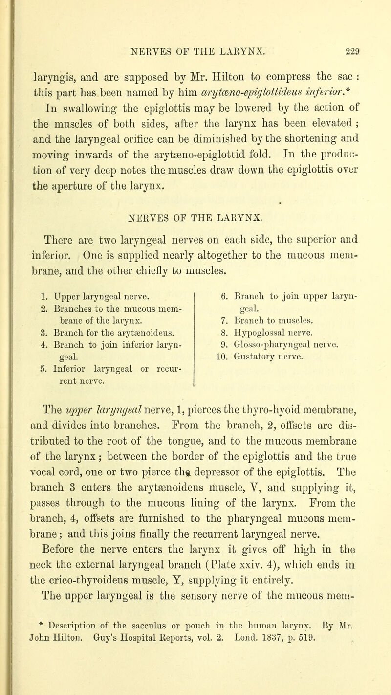 laryngis, and are supposed by Mr. Hilton to compress the sac : this part has been named by him arytwno-epiglottideus inferior* In swallowing the epiglottis may be lowered by the action of the muscles of both sides, after the larynx has been elevated ; and the laryngeal orifice can be diminished by the shortening and moving inwards of the arytasno-epiglottid fold. In the produc- tion of very deep notes the muscles draw down the epiglottis over the aperture of the larynx. NERVES OF THE LARYNX. There are two laryngeal nerves on each side, the superior and inferior. One is supplied nearly altogether to the mucous mem- brane, and the other chiefly to muscles. 1. Upper laryngeal nerve. 2. Branches to the mucous mem- brane of the larynx. 3. Branch for the arytamoideus. 4. Branch to join inferior laryn- geal. 5. Inferior laryngeal or recur- rent nerve. Branch to join upper laryn- geal. Branch to muscles. Hypoglossal nerve. Glosso-pharyngeal nerve. Gustatory nerve. The upper laryngeal nerve, 1, pierces the thyro-hyoid membrane, and divides into branches. From the branch, 2, olfsets are dis- tributed to the root of the tongue, and to the mucous membrane of the larynx; between the border of the epiglottis and the true vocal cord, one or two pierce thg, depressor of the epiglottis. The branch 3 enters the arytsenoideus muscle, V, and supplying it, passes through to the mucous lining of the larynx. From the branch, 4, offsets are furnished to the pharyngeal mucous mem- brane ; and this joins finally the recurrent laryngeal nerve. Before the nerve enters the larynx it gives off high in the neck the external laryngeal branch (Plate xxiv. 4), which ends in the crico-thyroideus muscle, Y, supplying it entirely. The upper laryngeal is the sensory nerve of the mucous mem- * Description of the sacculus or pouch in the human larynx. By Mr. John Hilton. Guy's Hospital Reports, vol. 2. Lond. 1837, p. 519,