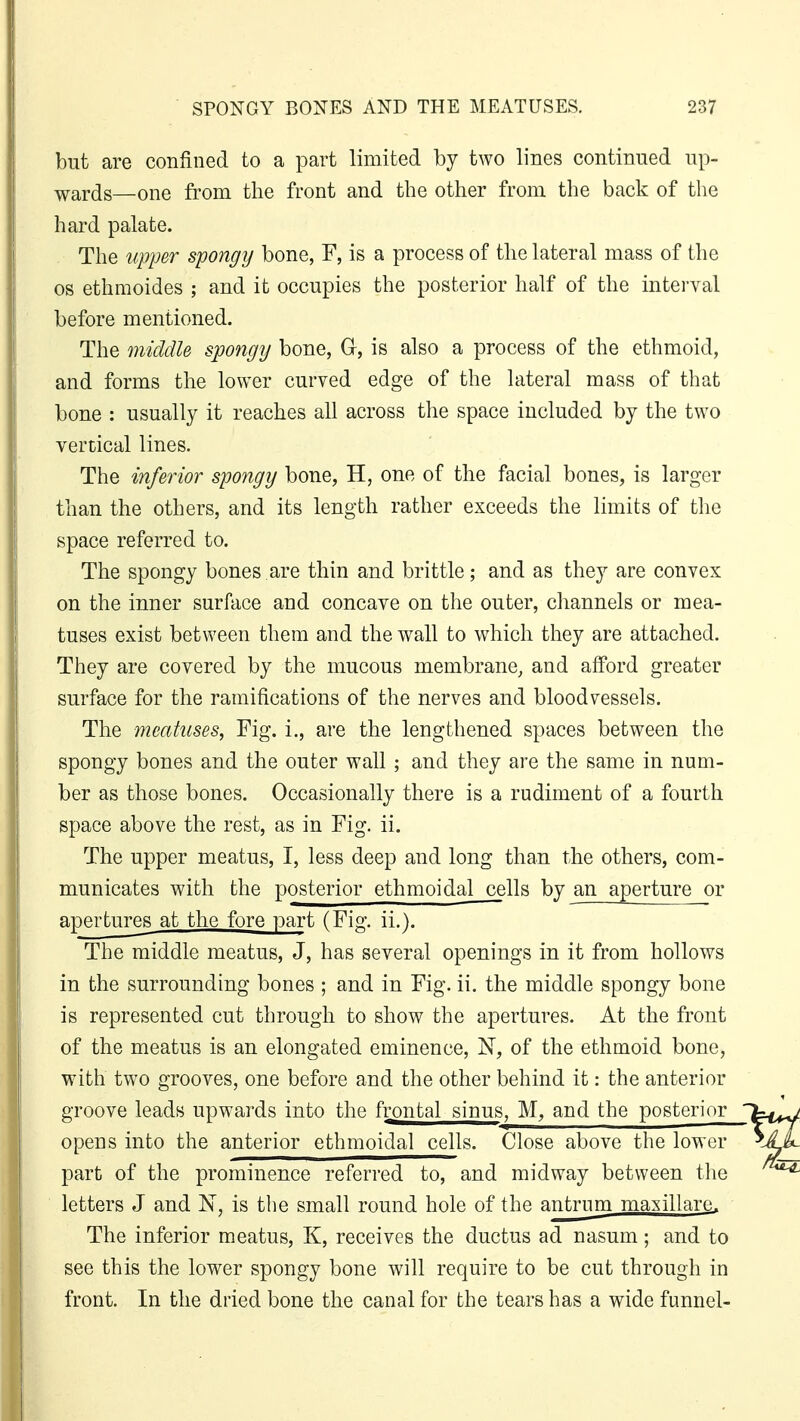 but are confined to a part limited by two lines continued up- wards—one from the front and the other from the back of the hard palate. The upper spongy bone, F, is a process of the lateral mass of the os ethraoides ; and it occupies the posterior half of the interval before mentioned. The middle spongy bone, G, is also a process of the ethmoid, and forms the lower curved edge of the lateral mass of that bone : usually it reaches all across the space included by the two vertical lines. The inferior spongy bone, H, one of the facial bones, is larger than the others, and its length rather exceeds the limits of the space referred to. The spongy bones are thin and brittle; and as they are convex on the inner surface and concave on the outer, channels or mea- tuses exist between them and the wall to which they are attached. They are covered by the mucous membrane, and afford greater surface for the ramifications of the nerves and bloodvessels. The meatuses, Fig. i., are the lengthened spaces between the spongy bones and the outer wall; and they are the same in num- ber as those bones. Occasionally there is a rudiment of a fourth space above the rest, as in Fig. ii. The upper meatus, I, less deep and long than the others, com- municates with the posterior ethmoidal cells by an aperture or apertures at the fore part (Fig. ii.). The middle meatus, J, has several openings in it from hollows in the surrounding bones ; and in Fig. ii. the middle spongy bone is represented cut through to show the apertures. At the front of the meatus is an elongated eminence, N, of the ethmoid bone, with two grooves, one before and the other behind it: the anterior groove leads upwards into the frontal sinus, M, and the posterior opens into the anterior ethmoidal cells. Close above the lower part of the prominence referred to, and midway between the letters J and N, is the small round hole of the antrum masillarc. The inferior meatus, K, receives the ductus ad nasum; and to see this the lower spongy bone will require to be cut through in front. In the dried bone the canal for the tears has a wide funnel-
