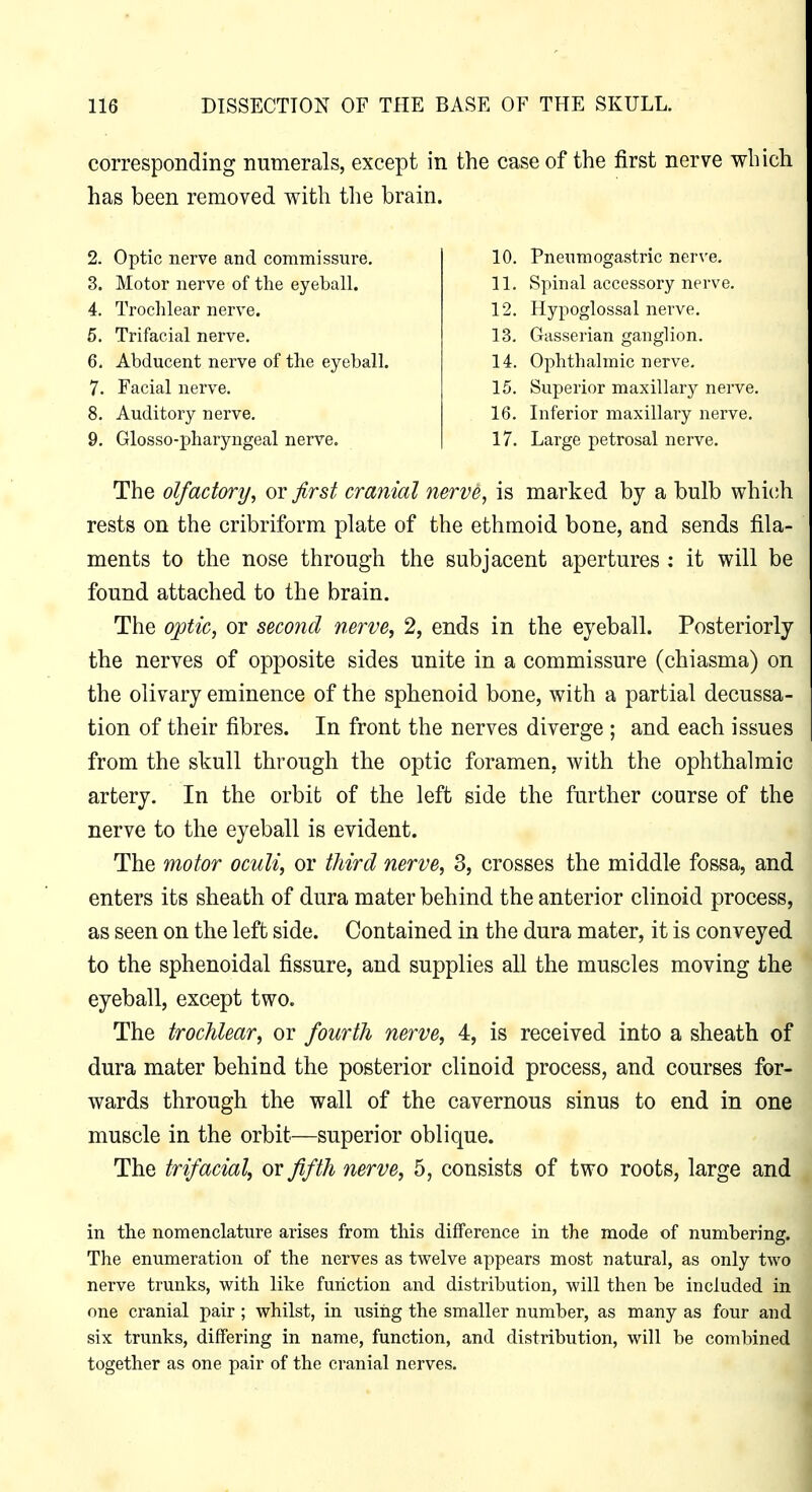 corresponding numerals, except in the case of the first nerve which has been removed with the brain. 2. Optic nerve and commissure. 3. Motor nerve of the eyeball. 4. Trochlear nerve. 5. Trifacial nerve. 6. Abducent nerve of the eyeball. 7. Facial nerve. 8. Auditory nerve. 9. Glosso-pharyngeal nerve. 10. Pneumogastric nerve. 11. Spinal accessory nerve. 12. Hypoglossal nerve. 13. Gasserian ganglion. 14. Ophthalmic nerve. 15. Superior maxillary nerve. 16. Inferior maxillary nerve, 17. Large petrosal nerve. The olfactory, or first cranial nerve, is marked by a bulb whi(;h rests on the cribriform plate of the ethmoid bone, and sends fila- ments to the nose through the subjacent apertures : it will be found attached to the brain. The optic, or second nerve, 2, ends in the eyeball. Posteriorly the nerves of opposite sides unite in a commissure (chiasma) on the olivary eminence of the sphenoid bone, with a partial decussa- tion of their fibres. In front the nerves diverge ; and each issues from the skull through the optic foramen, with the ophthalmic j artery. In the orbit of the left side the further course of the \ nerve to the eyeball is evident. j The motor oculi, or third nerve, 3, crosses the middle fossa, and ; enters its sheath of dura mater behind the anterior clinoid process, j as seen on the left side. Contained in the dura mater, it is conveyed ' to the sphenoidal fissure, and supplies all the muscles moving the ^ eyeball, except two. 1 The trochlear, or fourth nerve, 4, is received into a sheath of ' dura mater behind the posterior clinoid process, and courses for- ; wards through the wall of the cavernous sinus to end in one I muscle in the orbit—superior oblique. The trifacial, or fifth nerve, 5, consists of two roots, large and ^ in the nomenclature arises from this difference in the mode of numbering, j The enumeration of the nerves as twelve appears most natural, as only two nerve trunks, with like function and distribution, will then be included in ' one cranial pair ; whilst, in using the smaller number, as many as four and \ six trunks, differing in name, function, and distribution, will be combined together as one pair of the cranial nerves. I