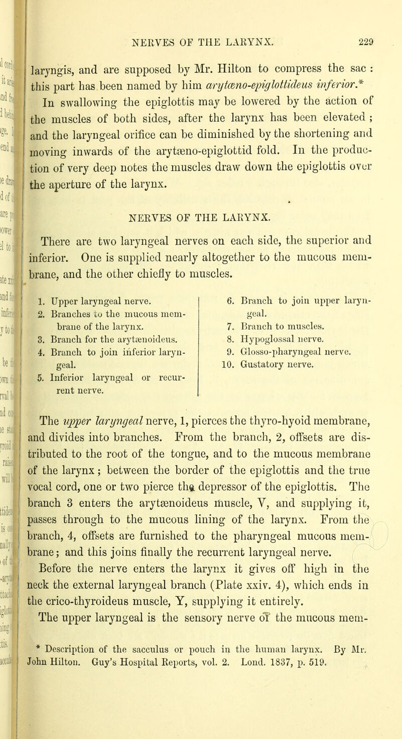 laryngis, and are supposed by Mr. Hilton to compress the sac : this part has been named by him arytmno-epiglottideus inferior* In swallowing the epiglottis may be lowered by the action of the muscles of both sides, after the larynx has been elevated ; and the laryngeal orifice can be diminished by the shortening and moving inwards of the arytseno-epiglottid fold. In the produc- tion of very deep notes the muscles draw down the epiglottis over the aperture of the larynx. NERVES OF THE LARYNX. There are two laryngeal nerves on each side, the superior and inferior. One is supplied nearly altogether to the mucous mem- brane, and the other chiefly to muscles. 1. Upper laryngeal nerve. 2. Branches to the mucous mem- brane of the larynx. 3. Branch for the arytaenoideus. 4. Branch to join inferior laryn- geal. 5. Inferior laryngeal or recur- rent nerve. 6. Branch to join upper laryn- geal. 7. Branch to muscles. 8. Hypoglossal nerve. 9. Glosso-pharyngeal nerve. 10. Gustatory nerve. The up;per laryngeal nerve, 1, pierces the thyro-hyoid membrane, and divides into branches. From the branch, 2, offsets are dis- tributed to the root of the tongue, and to the mucous membrane of the larynx; between the border of the epiglottis and the true vocal cord, one or two pierce th®. depressor of the epiglottis. The branch 3 enters the arytasnoideus muscle, Y, and supplying it, passes through to the mucous lining of the larynx. Fi'om the branch, 4, offsets are furnished to the pharyngeal mucous mem- brane; and this joins finally the recurrent laryngeal nerve. Before the nerve enters the larynx it gives off high in the neck the external laryngeal branch (Plate xxiv. 4), which ends in the crico-thyroideus muscle, Y, supplying it entirely. The upper laryngeal is the sensory nerve dt' the mucous mem- * Description of the sacculus or pouch in the human larynx. By Mr. John Hilton. Guy's Hospital Reports, vol. 2. Lond. 1837, p. 519.