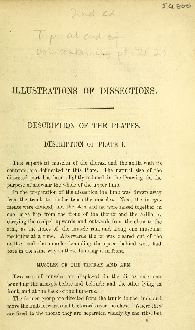 ILLUSTRATIONS OF DISSECTIONS. DESCEIPTION OF THE PLATES. DESCRIPTION or PLATE I. The superficial muscles of the thorax, and the axilla with its contents, are delineated in this Plate. The natural size of the dissected part has been slightly reduced in the Drawing for the purpose of showing the whole of the upper limb. •In the preparation of the dissection the limb was drawn away from the trunk to render tense the muscles. Next, the integu- ments were divided, and the skin and fat were raised together in one large flap from the front of the thorax and the axilla by carrying the scalpel upwards and outwards from the chest to the arm, as the fibres of the muscle run, and along one muscular fasciculus at a time. Afterwards the fat was cleared out of the axilla; and the muscles bounding the space behind were laid bare in the same way as those limiting it in front. MUSCLES OF THE THORAX AND ARM. Two sets of muscles are displayed in the dissection ; one bounding the arm-pit before and behind; and the other lying in front, and at the back of the humerus. The former group are directed from the trunk to the limb, and move the limb forwards and backwards over the chest. Where they are fixed to the thorax they are separated widely by the ribs, but B