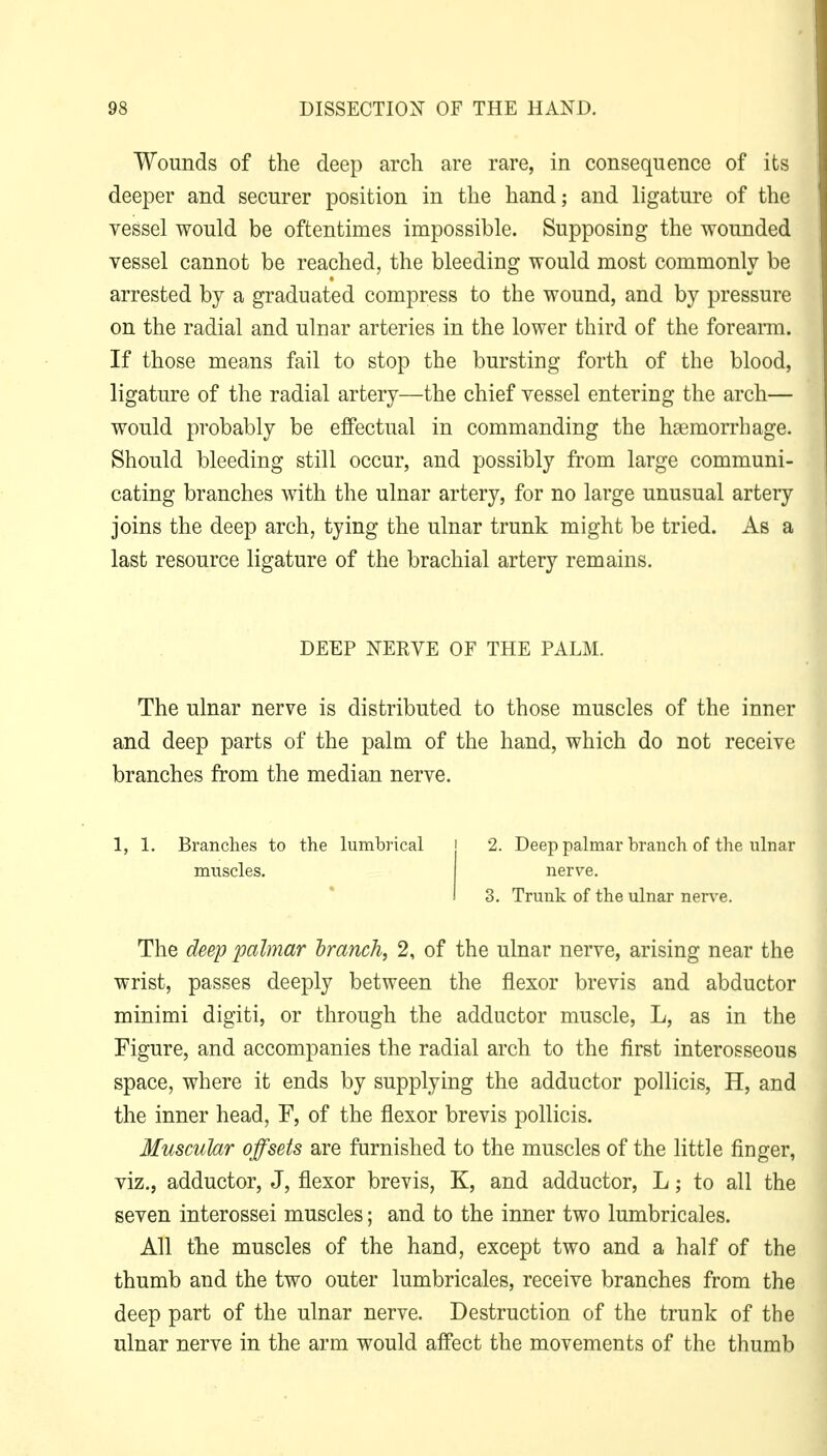 Wounds of the deep arch are rare, in consequence of its deeper and securer position in the hand; and ligature of the vessel would be oftentimes impossible. Supposing the wounded vessel cannot be reached, the bleeding would most commonly be arrested by a graduated compress to the wound, and by pressure on the radial and ulnar arteries in the lower third of the foreaim. If those means fail to stop the bursting forth of the blood, ligature of the radial artery—the chief vessel entering the arch— would probably be effectual in commanding the haemorrhage. Should bleeding still occur, and possibly from large communi- cating branches with the ulnar artery, for no large unusual artery joins the deep arch, tying the ulnar trunk might be tried. As a last resource ligature of the brachial artery remains. DEEP NERVE OF THE PALM. The ulnar nerve is distributed to those muscles of the inner and deep parts of the palm of the hand, which do not receive branches from the median nerve. 1, 1. Branches to muscles. the lumbrical 2. Deep palmar branch of the ulnar nerv^e. 3. Trunk of the ulnar nerve. The deep palmar hranch, 2, of the ulnar nerve, arising near the wrist, passes deeply between the flexor brevis and abductor minimi digiti, or through the adductor muscle, L, as in the Figure, and accompanies the radial arch to the first interosseous space, where it ends by supplying the adductor pollicis, H, and the inner head, F, of the flexor brevis pollicis. Muscular offsets are furnished to the muscles of the little finger, viz., adductor, J, flexor brevis, K, and adductor, L; to all the seven interossei muscles; and to the inner two lumbricales. All the muscles of the hand, except two and a half of the thumb and the two outer lumbricales, receive branches from the deep part of the ulnar nerve. Destruction of the trunk of the ulnar nerve in the arm would affect the movements of the thumb
