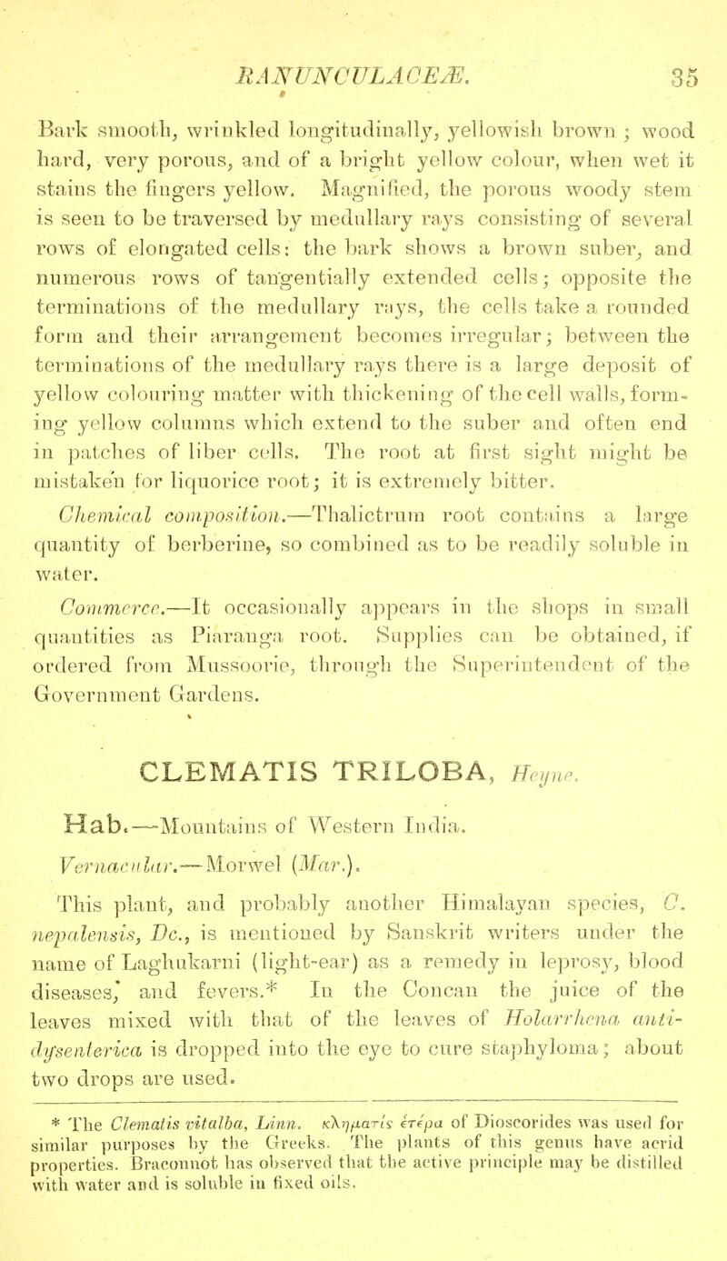 RA NUNCULA CEJE. 0 35 Bark smooth, wrinkled longitudinally, yellowish brown ; wood hard, very porous, and of a bright yellow colour, when wet it stains the fingers yellow. Magnified, the porous woody stem is seen to be traversed by medullary rays consisting of several rows of elongated cells: the bark shows a brown suber, and numerous rows of tan'gentially extended cells; opposite the terminations of the medullary ra}Ts, the cells take a rounded form and their arrangement becomes irregular; between the terminations of the medullary rays there is a large deposit of yellow colouring matter with thickening of the cell walls, form- ing yellow columns which extend to the suber and often end in patches of liber cells. The root at first sight might be mistaken for liquorice root; it is extremely bitter. Chemical composition.—Thalictrum root contains a large quantity of berberine, so combined as to be readily soluble in water. Commerce.—It occasionally appears in the shops in small quantities as Piaranga root. Supplies can be obtained, if ordered from Mussoorie, through the Superintendent of the Government Gardens. CLEMATIS TRILOBA, Eeyne, Hab.—-Mountains of Western India. Vernacular,-— Morwel (Mar.), This plant, and probably another Himalayan species, C. nepalensis, Be, is mentioned by Sanskrit writers under the name of Laghukarni (light-ear) as a remedy in leprosy, blood diseases,* and fevers.* In the Concan the juice of the leaves mixed with that of the leaves of UolarrJiena anti- dy'senterica is dropped into the eye to cure staphyloma; about two drops are used. * The Clematis vitalba, Linn. KA^/iaWs ere pa of Dioseorides was used for similar purposes by the Greeks. The plants of this genus have acrid properties. Braconnot has observed that the active principle may be distilled with water and is soluble in fixed oils.