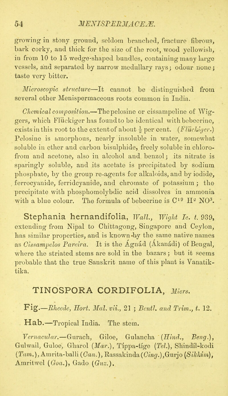 growing in stony ground, seldom branched, fracture fibrous, bark corky, and thick for the size of the root, wood yellowish, in from 10 to 15 wedge-shaped bundles, containing many large vessels, and separated by narrow medullary rays; odour none; taste very bitter. Microscopic structure—It cannot be distinguished from several other Menispermaceous roots common in India. Chemical composition.—Thepelosine or cissampeline of Wig- gers, which Fliickiger has found to be identical withbebeerine, exists in this root to the extent of about \ per cent. (Fluckiger.) Pelosine is amorphous, nearly insoluble in water, somewhat soluble in ether and carbon bisulphide, freely soluble in chloro- from and acetone, also in alcohol and benzol; its nitrate is sparingly soluble, and its acetate is precipitated by sodium phosphate, by the group re-agents for alkaloids, and by iodide, ferrocyanide, ferridcyanide, and chromate of potassium ; the precipitate with phosphomolybdic acid dissolves in ammonia with a blue colour. The formula of bebeerine is C19 H2 NO3. Stephania hernandifolia, Wall., Wight Ic. t. 939, extending from Nipal to Chittagong, Singapore and Ceylon, has similar properties, and is known -by the same native names as Cissampelos Pareira. It is the Agnad (Akanadi) of Bengal, where the striated stems are sold in the bazars; but it seems probable that the true Sanskrit name of this plant is Vanatik- tika. TINOSPORA CORDIFOLIA, Miers. Fig.—Bheede, Hort. Mai. vii., 21 ; BentJ. and Trim., t. 12. Hab.—Tropical India. The stem. Vernacular,—Gurach, Giloe, Gulancha (Hind., Beng.), Gulwail, Guloe, Gharol (Mar.), Tippa-tige (Tel.), Shindll-kodi (Tarn.), Amrita-balli (Can.), Rassakinda(Cm</.),Gurjo (Sikhim), Amritwel (Goa.), Gado (Guz.),