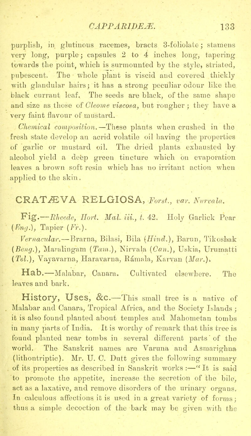 purplish, in glutinous racemes, bracts 3-foliolate; stamens very long, purple; capsules 2 to 4 inches long*, tapering towards the point, which is surmounted by the style, striated, pubescent. The whole plant is viscid and covered thickly with glandular hairs; it has a strong peculiar odour like the black currant leaf. The seeds are black, of the same shape and size as those of Gleome viscosa, but rougher ; they have a very faint flavour of mustard. Chemical composition.—These plants when crushed in the fresh state develop an acrid volatile oil having' the properties of garlic or mustard oil. The dried plants exhausted by alcohol yield a deep green tincture which on evaporation leaves a brown soft resin which has no irritant action when applied to the skin, CRAT^VA RELGIOSA, ForsL, var. Nurvala. Fig.—nheede, Ilort. Mai. Hi., t. 42. Holy Garlick Pear (Kng.), Tapier {Fr.). Vernacular.—Brarna, Bilasi, Bila [Hind.), Barun, Tikoshak (Beng.), Maralingam [Tarn.), Nirvala (Can.), Uskia, Urumatti {Tel.), Vayavarna, Haravarna, R6mala, Karvan (Alar.). Hab.—Malabar, Canara. Cultivated elsewhere. The leaves and bark. History, Uses, &C.—This small tree is a native of Malabar and Canara, Tropical Africa, and the Society Islands • it is also found planted about temples and Mahometan tombs in many parts of India. It is worthy of remark that this tree is found planted near tombs in several different parts' of the world. The Sanskrit names are Varuna and Asmarighna (lithontriptic). Mr. U. C. Dutt gives the following summary of its .properties as described in Sanskrit works :— It is said to promote the appetite, increase the secretion of the bile, act as a laxative, and remove disorders of the urinary organs. In calculous affections it is used in a great variety of forms; thus a simple decoction of the bark may be given with the