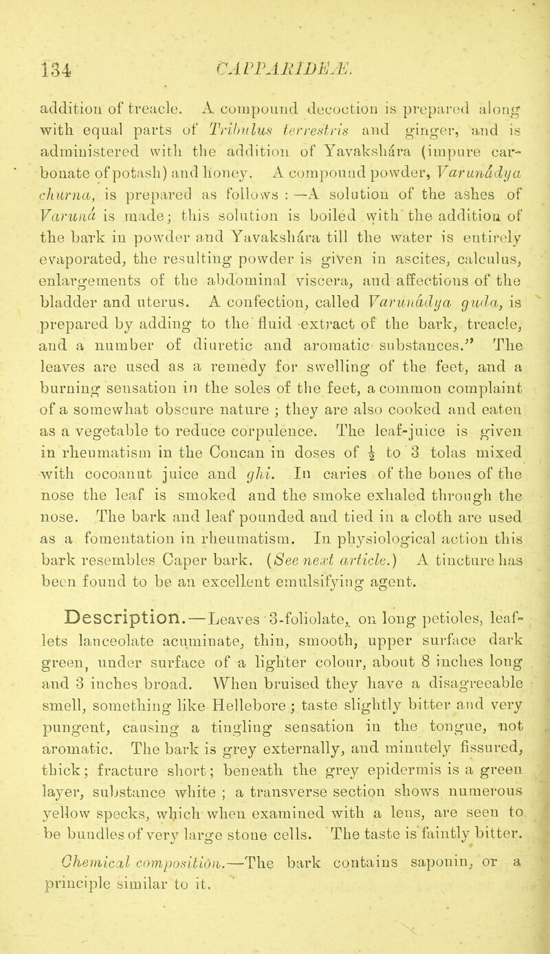 addition of treacle. A compound decoction is prepared along with equal parts of Tribulus ierrestris and ginger, and is administered with the addition of Yavakshara (impure car- bonate of potash) and honey. A compound powder, Varunddya ehurna, is prepared as Follows : —A solution of the ashes of Varum is made; this solution is boiled with the addition of the bark in powder and Yavakshara till the water is entirely evaporated, the resulting powder is given in ascites, calculus, enlargements of the abdominal viscera, and affections of the bladder and uterus. A confection, called Varunddya guda, is prepared by adding to the fluid extract of the bark, treacle, and a number of diuretic and aromatic substances.' The leaves are used as a remedy for swelling of the feet, and a burning sensation in the soles of the feet, a common complaint of a somewhat obscure nature ; they are also cooked and eaten as a vegetable to reduce corpulence. The leaf-juice is given in rheumatism in the Concan in doses of i to 3 tolas mixed with cocoanut juice and ghi. In caries of the bones of the nose the leaf is smoked and the smoke exhaled through the nose. The bark and leaf pounded and tied in a cloth are used as a fomentation in rheumatism. In physiological action this bark resembles Caper bark. (8ee next article.) A tincture has been found to be an excellent emulsifying agent. Description. — Leaves 3-foliolate,, on long petioles, leaf- lets lanceolate acuminate, thin, smooth, upper surface dark green, under surface of a lighter colour, about 8 inches long and 3 inches broad. When bruised they have a disagreeable smell, something like Hellebore ; taste slightly bitter and very pungent, causing a tingling sensation in the tongue, not aromatic. The bark is grey externally, and minutely fissured, thick; fracture short; beneath the grey epidermis is a green layer, substance white ; a transverse section shows numerous yellow specks, which-when examined with a lens, are seen to be bundles of very large stone cells. The taste is faintly bitter. Chemical composition.—The bark contains saponin, or a principle similar to it.
