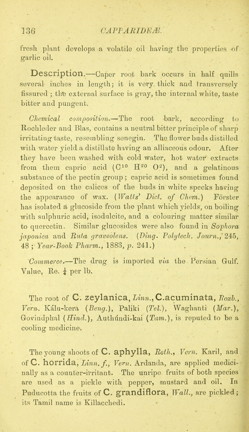 fresh, plant develops a volatile oil having the properties -of garlic oil. Description.—Caper root bark occurs in half quills several inches in length; it is very thick and transversely fissm^ed ;. thfc external surface is gray, the internal white, taste bitter and pungent. Chemical composition.—The root bark, according to Rochleder and Bias, contains a neutral bitter principle of sharp irritating taste, resembling senegin. The flower bads distilled with water yield a distillate having an alliaceous odour. After they have been washed with cold water, hot water extracts from them capric acid (C10 H20 O2), and a gelatinous substance of the pectin group ; capric acid is sometimes found deposited on the calicos of the buds in white specks having the appearance of wax. (Watts' Diet, of Chem.) Forster has isolated a glucoside from the plant which yields, on boiling with sulphuric acid, isodulcite, and a colouring matter similar to quercetin. Similar glucosides were also found in Sophora japonica and Ruta graveolens. (Ding. Polyteck. Journ.,' 245, 48 y Year-Book Pharm., 1883, p. 241.) Commerce.—The drug is imported via the Persian Gulf. Value, Re. i per lb. The root of C. zeylanica, Linn., C.acuminata, Foxb., Vern. Kalu-kera (Beng.), Paliki (Tel), Waghanti (Mar.), Govindphal (Rind.), Authundi-kai (Tarn.), is reputed to be a cooling medicine. The young shoots of C. aphylla, Both., Vern. Karil, and of C. horrida, Linn, f., Vern. Ardanda, are applied medici- nally as a counter-irritant. The unripe fruits of both species are used as a pickle with pepper, mustard and oil. In Puducotta the fruits of C. grandiflora, Wall., are pickled; its Tamil name is Killacchedi.