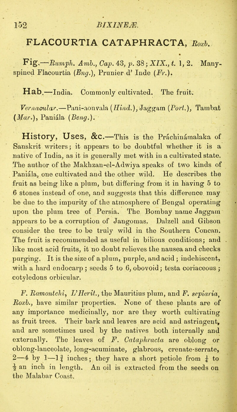 FLACOURTIA CATAPHRACTA, Eoxb. Fig,—Rumph. Amb., Cap. 43, p. 38; XIX., t. 1, 2. Many- spined Flacourtia (Eng.), Prunier d' Inde (Ft.). Hab.—India. Commonly cultivated. The fruit. Vernacular.—Pani-aonvala (Hind.), Jaggani (Port.), Tambat (Mar.), Paniala (Beng.). History, Uses, &C.—This is the Prachinamalaka of Sanskrit writers; it appears to be doubtful whether it is a native of India, as it is generally met with in a cultivated state. The author of the Makhzan-el-Adwiya speaks of two kinds of Paniala, one cultivated and the other wild. He describes the fruit as being like a plum, but differing from it in having 5 to 6 stones instead of one, and suggests that this difference may be due to the impurity of the atmosphere of Bengal operating upon the plum tree of Persia. The Bombay name Jaggam appears to be a corruption of Jangomas. Dalzell and Gibson consider the tree to be truly wild in the Southern Concan. The fruit is recommended as useful in bilious conditions; and like most acid fruits, it no doubt relieves the nausea and checks purging. It is the size of a plum, purple, and acid ; indehiscent, with a hard endocarp ; seeds 5 to 6, obovoid; testa coriaceous ; cotyledons orbicular. F. Ramontchi, L'Herit., the Mauritius plum, and F. sepiaria, Roxb., have similar properties. None of these plants are of any importance medicinally, nor are they worth cultivating as fruit trees. Their bark and leaves are acid and astringent, and are sometimes used by the natives both internally and externally. The leaves of F. Cataphracta are oblong or oblong-lanceolate, long-acuminate, glabrous, crenate-serrate, 2—4 by 1—11 inches; they have a short petiole from i to % an inch in length. An oil is extracted from the seeds on the Malabar Coast.