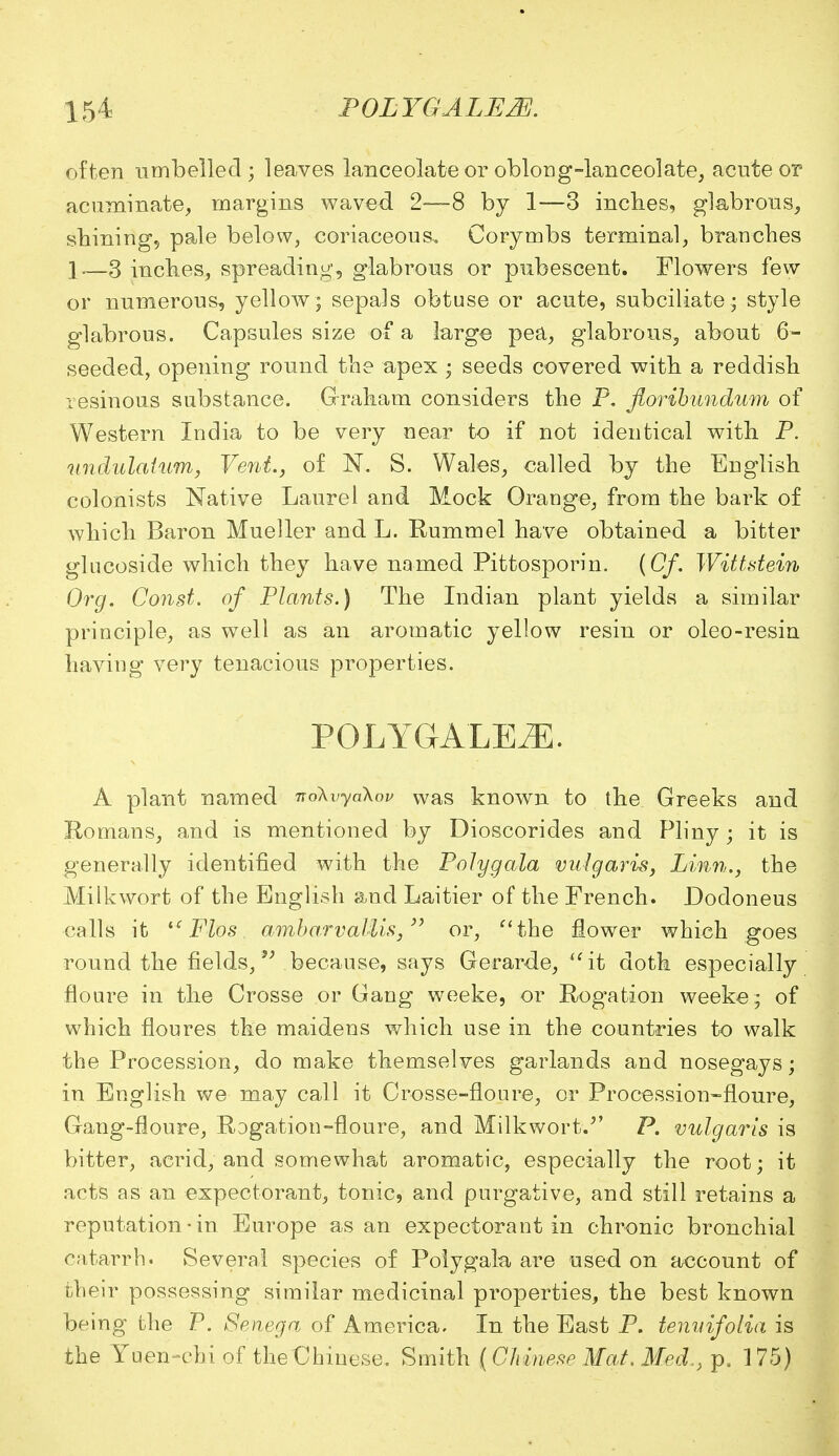 often umbelled; leaves lanceolate or oblong-lanceolate, acute or acuminate, margins waved 2—8 by 1—3 inches, glabrous, shining, pale below, coriaceous. Corymbs terminal, branches 1—3 inches, spreading, glabrous or pubescent. Flowers few or numerous, yellow ; sepals obtuse or acute, subciliate; style glabrous. Capsules size of a large pea, glabrous, about 6- seeded, opening round the apex • seeds covered with a reddish resinous substance. Graham considers the P. floribundum of Western India to be very near to if not identical with P. undulatum, Vent., of N. S. Wales, called by the English colonists Native Laurel and Mock Orange, from the bark of which Baron Mueller and L. Rummel have obtained a bitter glucoside which they have named Pittosporin. (Cf. Wittstein Org. Const, of Plants.) The Indian plant yields a similar principle, as well as an aromatic yellow resin or oleo-resin having very tenacious properties. POLYGALEiE. A plant named iro\vya\oi> was known to the Greeks and Romans, and is mentioned by Dioscorides and Pliny; it is generally identified with the Polygala vulgaris, Linn., the Milkwort of the English and Laitier of the French. Dodoneus calls it Flos, ambarvallis, or, the flower which goes round the fields,  because, says Gerarde, <fit doth especially floure in the Crosse or Gang weeke, or Rogation weeke; of which floures the maidens which use in the countries to walk the Procession, do make themselves garlands and nosegays; in English we may call it Crosse-floure, or Procession-floure, Gang-floure, Rogation-floure, and Milkwort/' P. vulgaris is bitter, acrid, and somewhat aromatic, especially the root; it acts as an expectorant, tonic, and purgative, and still retains a reputation-in Europe as an expectorant in chronic bronchial catarrh. Several species of Polygala are used on account of their possessing similar medicinal properties, the best known being the P. Senega of America. In the East P. tenuifolia is the Yuen-chi of theChiuese. Smith (Chinese Mat. Med., p. 175)