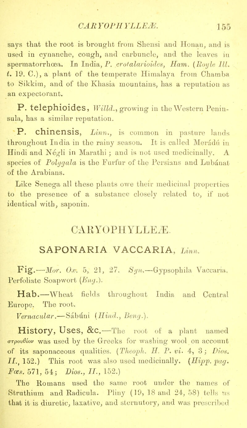 says that the root is brought from Shensi and Ho nan, and is used in cynanche, cough, and carbuncle, and the leaves in spermatorrhoea. In India, P. crotalarioides, Ham. (Royle 11L t, 19. C), a plant of the temperate Himalaya from Chamba to Sikkirn, and of the Khasia mountains, has a reputation as an expectorant. P. telephioides, Willd., growing in the Western Penin- sula, has a similar reputation. P. chinensis, Linn., is common in pasture lands throughout India in the rainy season. It is called Meradu in Hindi and Negli in Marathi ; and is not used medicinally. A species of Polygala is the Furfur of the Persians and Lubanat of the Arabians. Like Senega all these plants owe their medicinal properties to the presence of a substance closely related to, if not identical with, saponin. CARYOBHYLLEiE SAPONARIA VACCARIA, Linn. Fig.—J/^r. Oxr. 5, 21, 27o Gypsophila Vaccaria. Perfoliate Soapwort (Bug,). Hab.—Wheat fields throughout India and Central Europe. The root. Vernacular.—-Sabuni [Hind., Beng.), History, Uses, &c—The root of a plant named (TTpovOlov was used by the Greeks for washing wool on account of its saponaceous qualities. (Theoph. II P. vi. 4, 3; Dios. II.f 152.) This root was also used medicinally. (Hipp. pag. Fees. 571, 54; Dios., II., 152.) The Romans used the same root under the names of Struthium and Radicula. Pliny (19, 18 and 24, 58) tells us that it is diuretic, laxative, and sternutory, and was prescribed