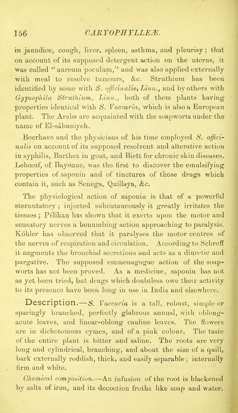 in jaundice, cough, liver, spleen, asthma, and pleurisy ; that on account of its supposed detergent action on the uterus, it was called (i aureum poculum/' and was also applied externally with meal to resolve tumours, &c. Struthium has been identified by some with S. officinalis, Linn., aud by others with Gypsophila Struthium, Linn., both of them plants having properties identical with S. Vaccaria, which is also a European plant. The Arabs are acquainted with the soapworts under the name of El-sabuniyeh. Boerhave and the physicians of his time employed S. offici- nalis on account of its supposed resolvent and alterative action in syphilis, Barthez in gout, and Biett for chronic skin diseases. Lebceuf, of Bayonne, was the- first to discover the emulsifying properties of saponin and of tinctures of those drugs which contain it, such as Senega, Quillaya, &c. The physiological action of saponin is that of a powerful sternutatory ; injected snbcutaneously it greatly irritates the tissues; Pelikan has shown that it exerts upon the motor and sensatory nerves a benumbing action approaching to paralysis. Kohler has observed that it paralyses the motor centres of the nerves of respiration and circulation. According to Schroff it augments the bronchial secretions and acts as a diuretic and purgative. The supposed emmenagogue action of the soap- worts has not been proved. As a medicine, saponin has not as yet been tried, but drugs which doubtless owe their activity to its presence have been long in use in India and elsewhere. Description.—S. Vaccaria is a tall, robust, simple or sparingly branched, perfectly glabrous annual, with oblong- acute leaves, and linear-oblong* cauline leaves. The flowers are in dichotomous cymes, and of a pink colour. The taste of the entire plant is bitter and saline. The roots are very long and cylindrical, branching, and about the size of a quill, bark externally reddish, thick, and easily separable; internally hrm and white. Chemical composition.—An infusion of the root is blackened by salts of iron, and its decoction froths like soap and water.