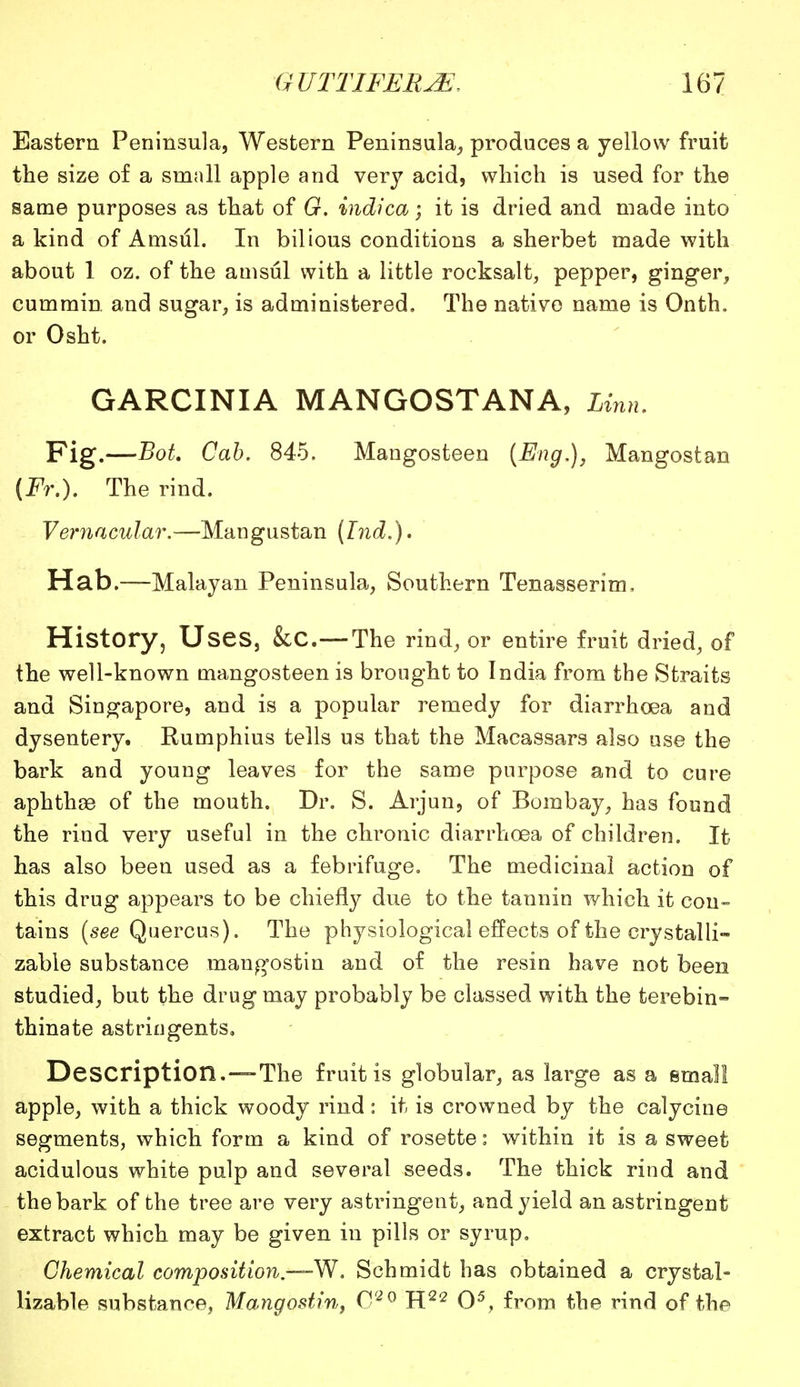 Eastern Peninsula, Western Peninsula, produces a yellow fruit the size of a small apple and very acid, which is used for the same purposes as that of G. indica; it is dried and made into a kind of Amsul. In bilious conditions a sherbet made with about 1 oz. of the amsul with a little rocksalt, pepper, ginger, cummin, and sugar, is administered. The native name is Onth. or Osht. GARCINIA MANGOSTANA, Linn. Fig.—Bot. Cab. 845. Mangosteen (Eng.), Mangostan (Fr.). The rind. Vernacular.—Mangustan (Ind.). Hab.—Malayan Peninsula, Southern Tenasserim, History, Uses, &C.—The rind, or entire fruit dried, of the well-known mangosteen is brought to India from the Straits and Singapore, and is a popular remedy for diarrhoea and dysentery. Rumphius tells us that the Macassars also use the bark and young leaves for the same purpose and to cure aphthae of the mouth. Dr. S. Arjun, of Bombay, has found the rind very useful in the chronic diarrhoea of children. It has also been used as a febrifuge. The medicinal action of this drug appears to be chiefly due to the tannin which it con- tains (see Quercus). The physiological effects of the crystal li- zable substance mangostin and of the resin have not been studied, but the drug may probably be classed with the terebin- thinate astringents. Description.—The fruit is globular, as large as a small apple, with a thick woody rind: it is crowned by the calycine segments, which form a kind of rosette: within it is a sweet acidulous white pulp and several seeds. The thick rind and the bark of the tree are very astringent, and yield an astringent extract which may be given in pills or syrup. Chemical composition.—W. Schmidt has obtained a crystal- lizable substance, Mangostin, C20 H22 O5, from the rind of the