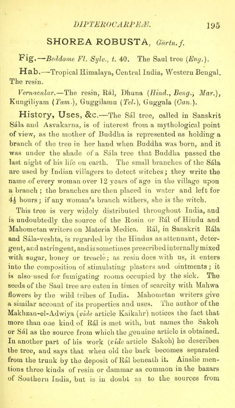 SHOREA ROBUSTA, Gartn.f. Fig.—Beddome Fl. Sylv., t. 40. The Saul tree (Eng.). Hab.—Tropical Himalaya, Central India, Western Bengal. The resin. Vernacular.—The resin, Ral, Dhuna (Hind., Beng.; Mar.), Kungiliyam (Tarn), Guggilanau (Tel*), Guggala (Can.). History, Uses, &C.—The Sal tree, called in Sanskrit 8ala and Asvakarna, is of interest from a mythological point of view, as the mother of Buddha is represented as holding a branch of the tree in her hand when Buddha was born, and it was under the shade of a Sala tree that Buddha passed the last night of his life on earth. The small branches of the Sala are used by Indian villagers to detect witches; they write the name of every woman over 12 years of age in the village upon a branch ; the branches are then placed in water and left for 4| hours; if any woman's branch withers, she is the witch. This tree is very widely distributed throughout India, and is undoubtedly the source of the Rosin or Bal of Hindu and Mahometan writers on Materia Medica. Ral, in Sanskrit Rala and Sala-veshta, is regarded by the Hindus asattenuant, deter- gent, and astringent, and is sometimes prescribed internally mixed with sugar, honey or treacle; as resin does with us, it enters into the composition of stimulating plasters and ointments; it is also-used for fumigating rooms occupied by the sick. The seeds of the Saul tree are eaten in times of scarcity with Mahwa flowers by the wild tribes of India. Mahometan writers give a similar account of its properties and uses. The author of the Makhzan-el-Adwiya (vide article Kaikahr) notices the fact that more than one kind of Ral is met with, but names the Sakoh or Sal as the source from which the genuine article is obtained. In another part of his work (vide article Sakoh) he describes the tree, and says that when old the bark becomes separated from the trunk by the deposit of Ral beneath it. Ainslie men- tions three kinds of resin or dammar as common in the bazars of Southern India, but is in doubt as to the sources from